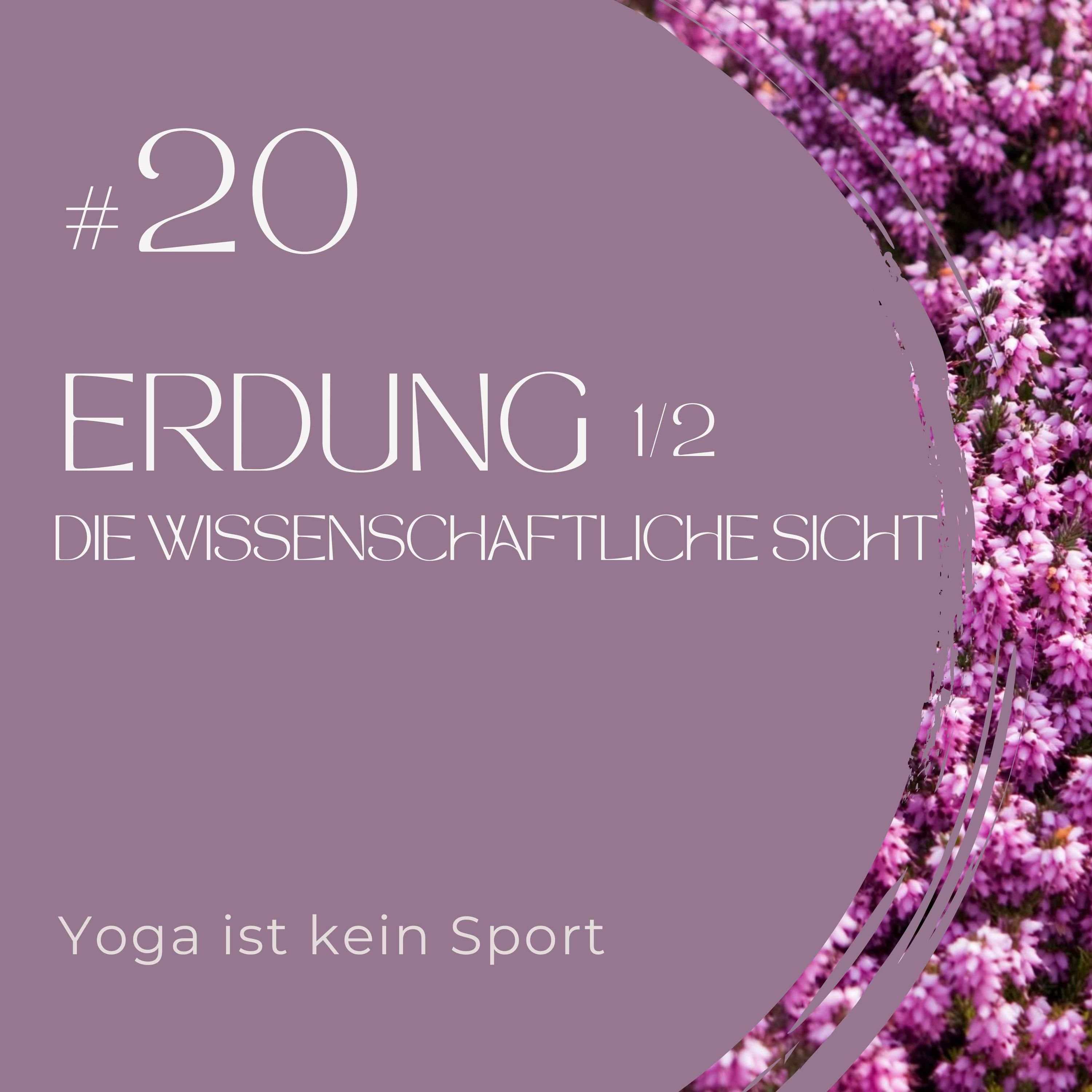 #19 - Was ist Erdung 1/2