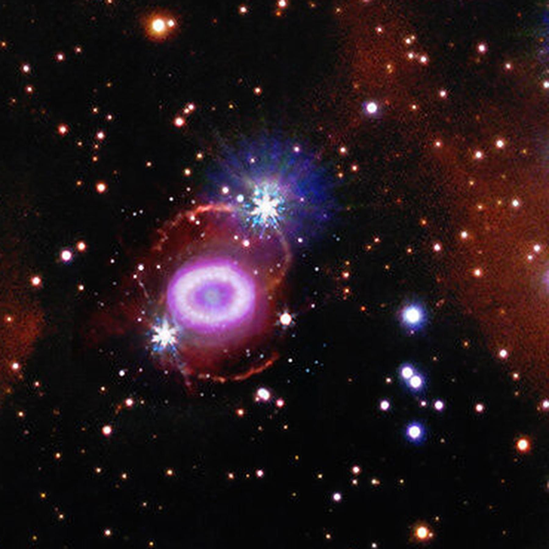 #193 Diese Supernova hat ein Massenaussterben ausgelöst | Dein Händeklatschen ist unverwechselbar | Naturvideos lindern Schmerzen |