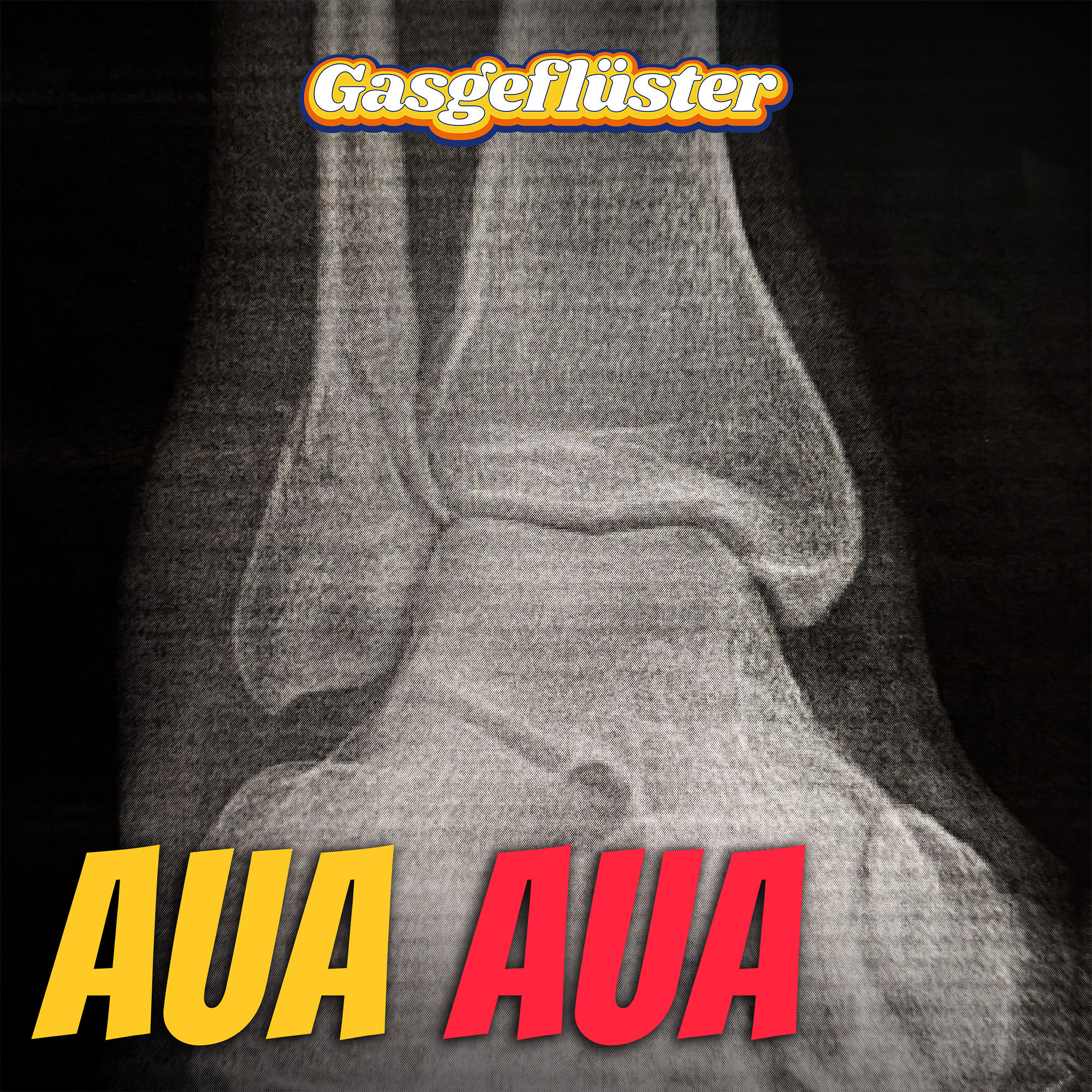 #194: Aua Aua - 1200 Kilometer Motorrad mit einem gebrochenen Knöchel