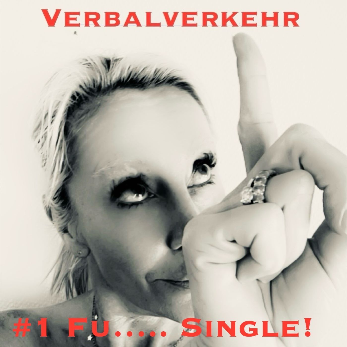 #1!VERBALVERKEHR - jetzt aber richtig: Fu..... Single - es reicht! Nur wie!?