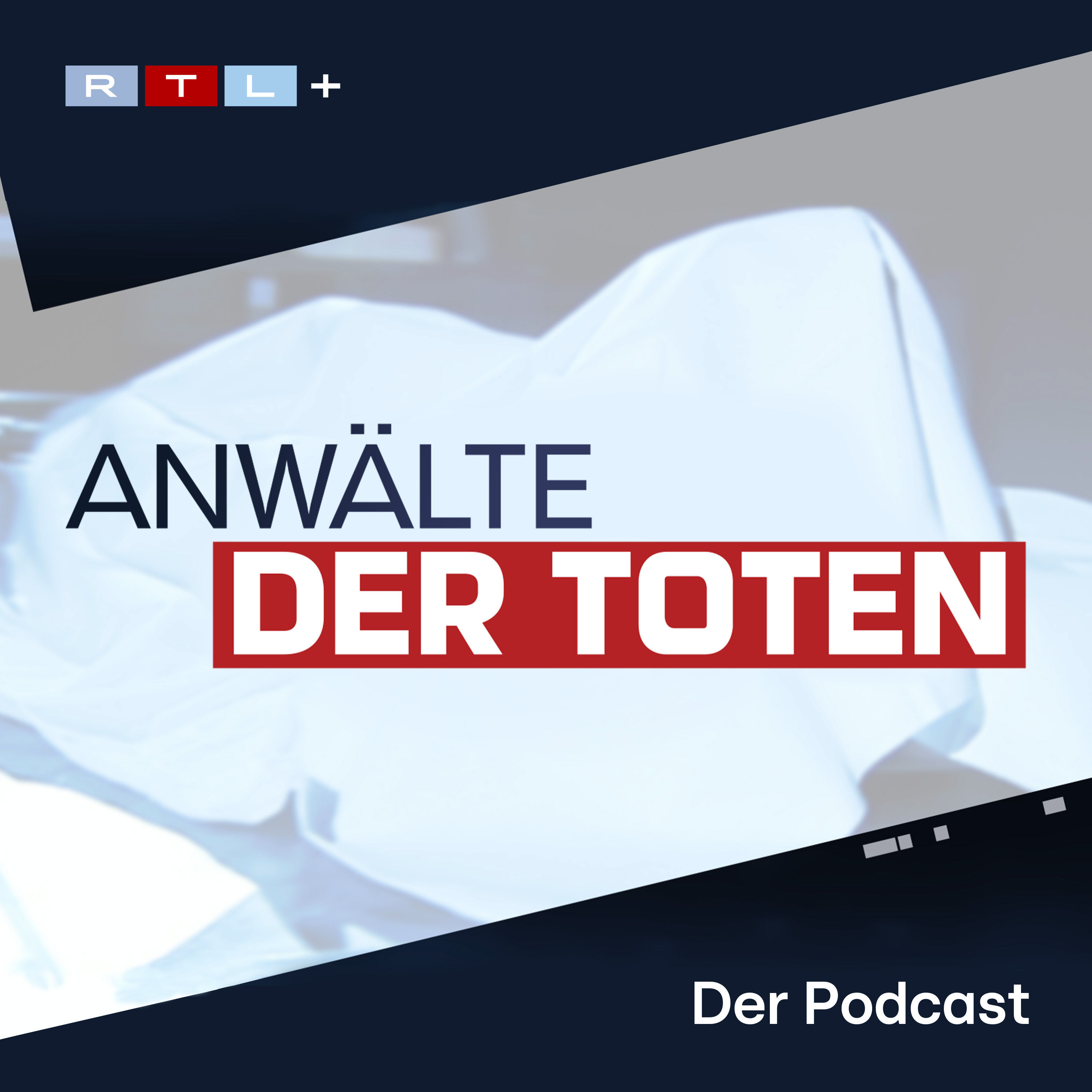 #2 Anwälte der Toten: Der Scheiterhaufen - RTL+ True Crime Time: In ...
