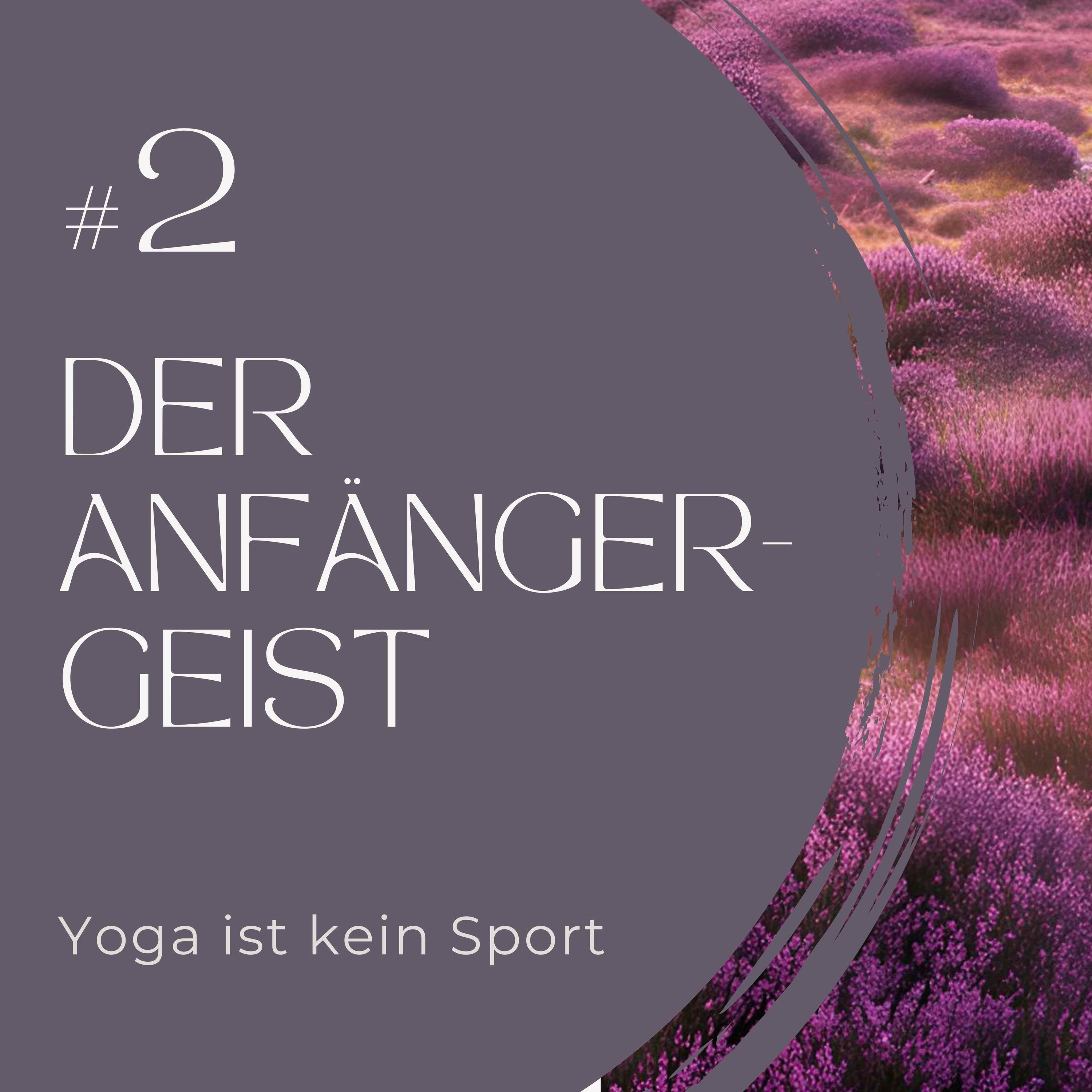 # 2 Der Anfängergeist