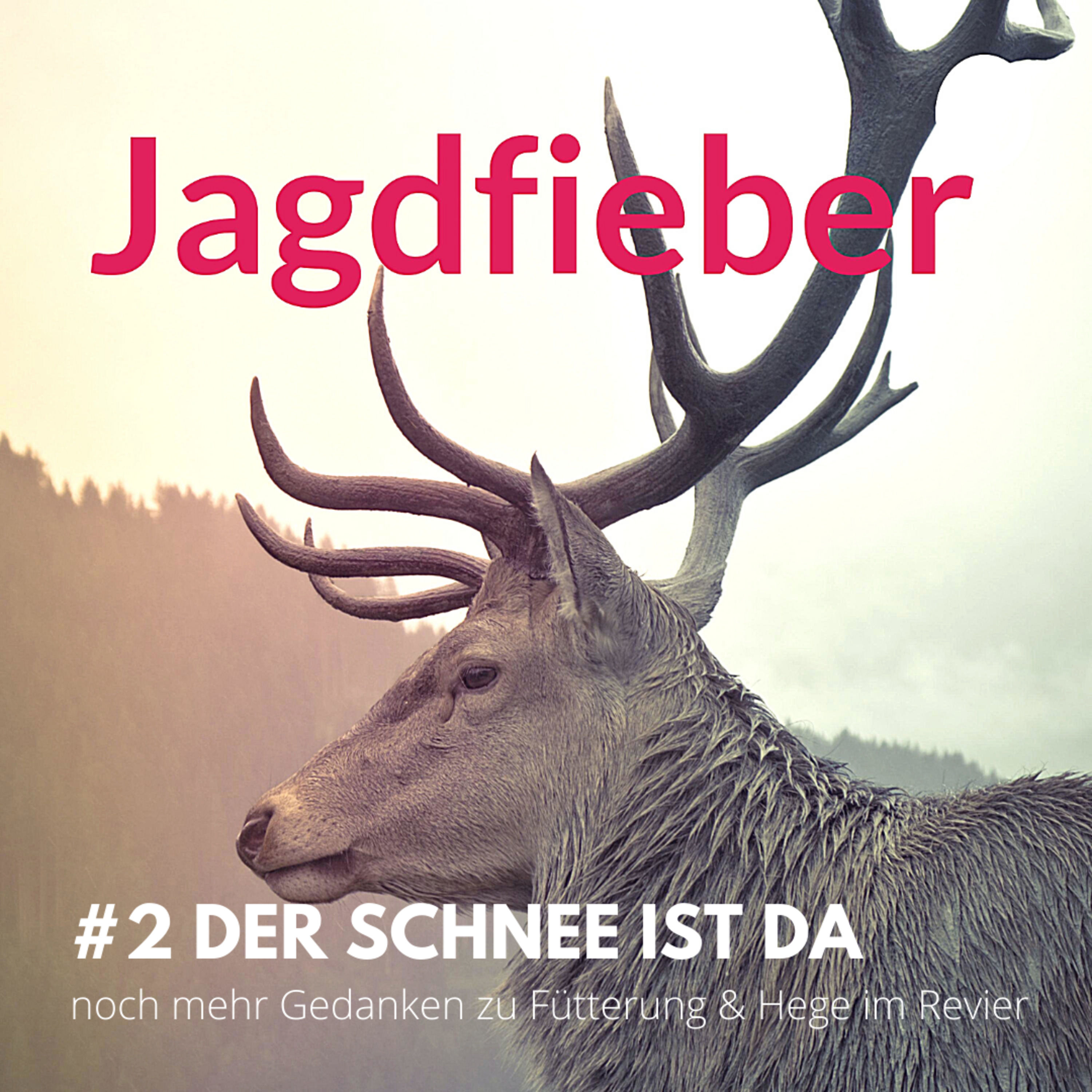 #2 Der Schnee ist da - noch mehr Gedanken zu füttern und Hege im Revier #jagdpodcast #hege #jagdschuletogo #wild #jungjäger #jagen
