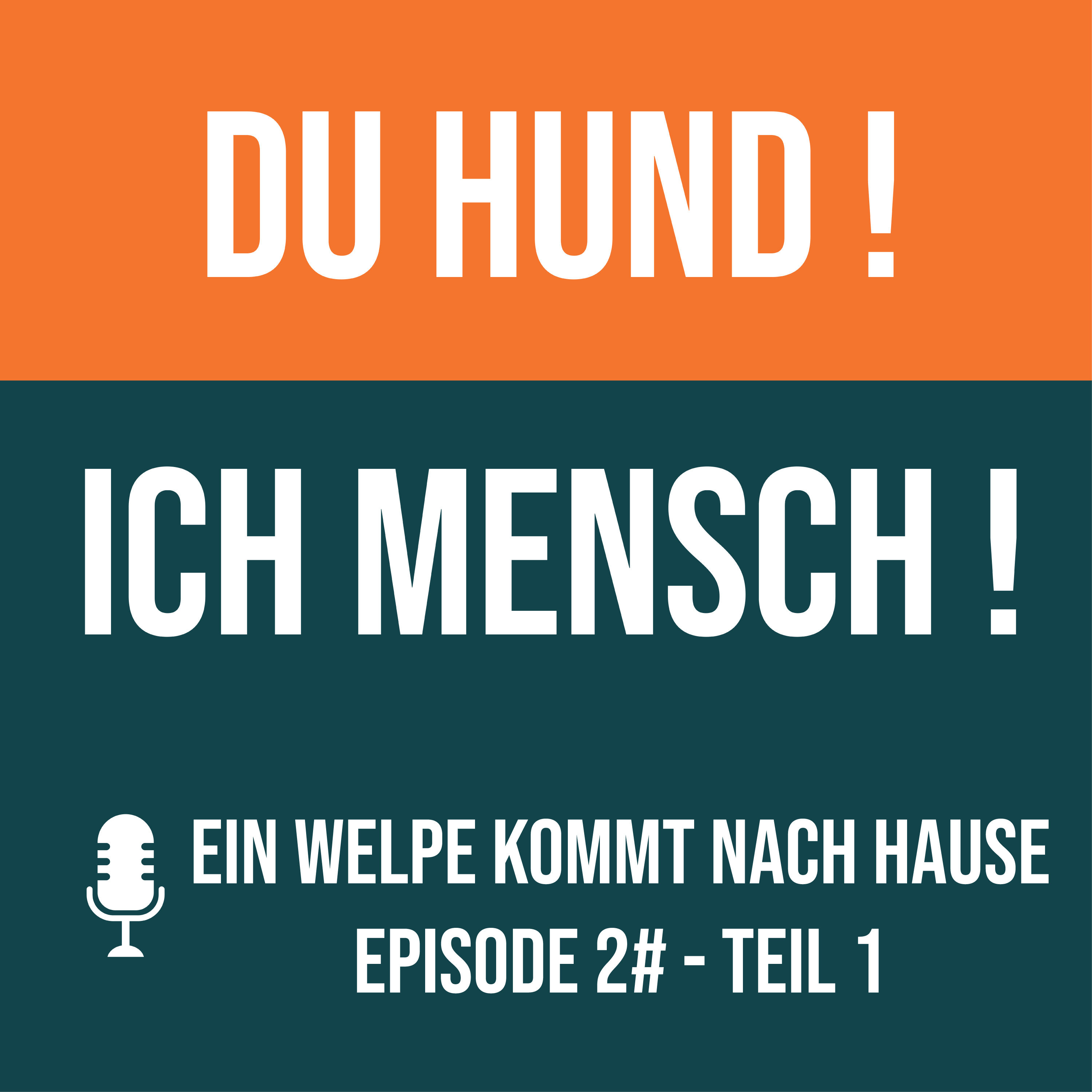 2# Ein Welpe kommt nach Hause - Teil 1