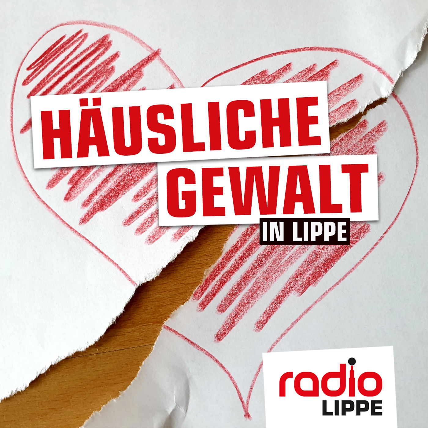 # 2 Häusliche Gewalt in Lippe