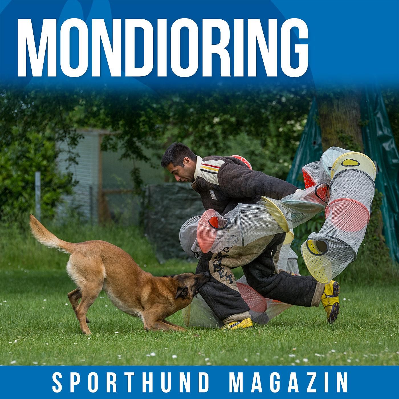 #2 Mondioring