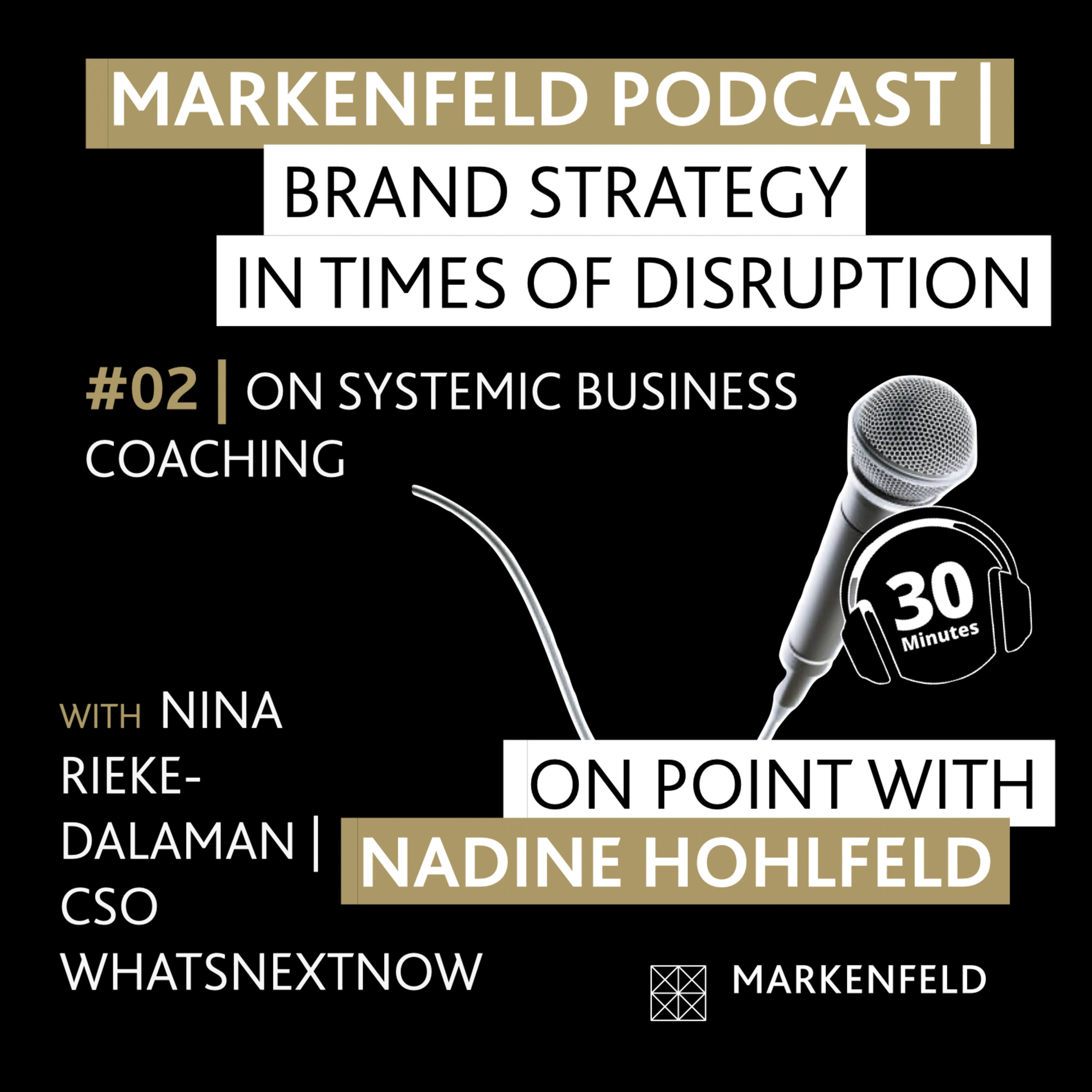 đ„ 2 | ON SYSTEMIC BUSINESS COACHING with NINA RIEKE-DALAMAN (CSO WHATSNEXTNOW)