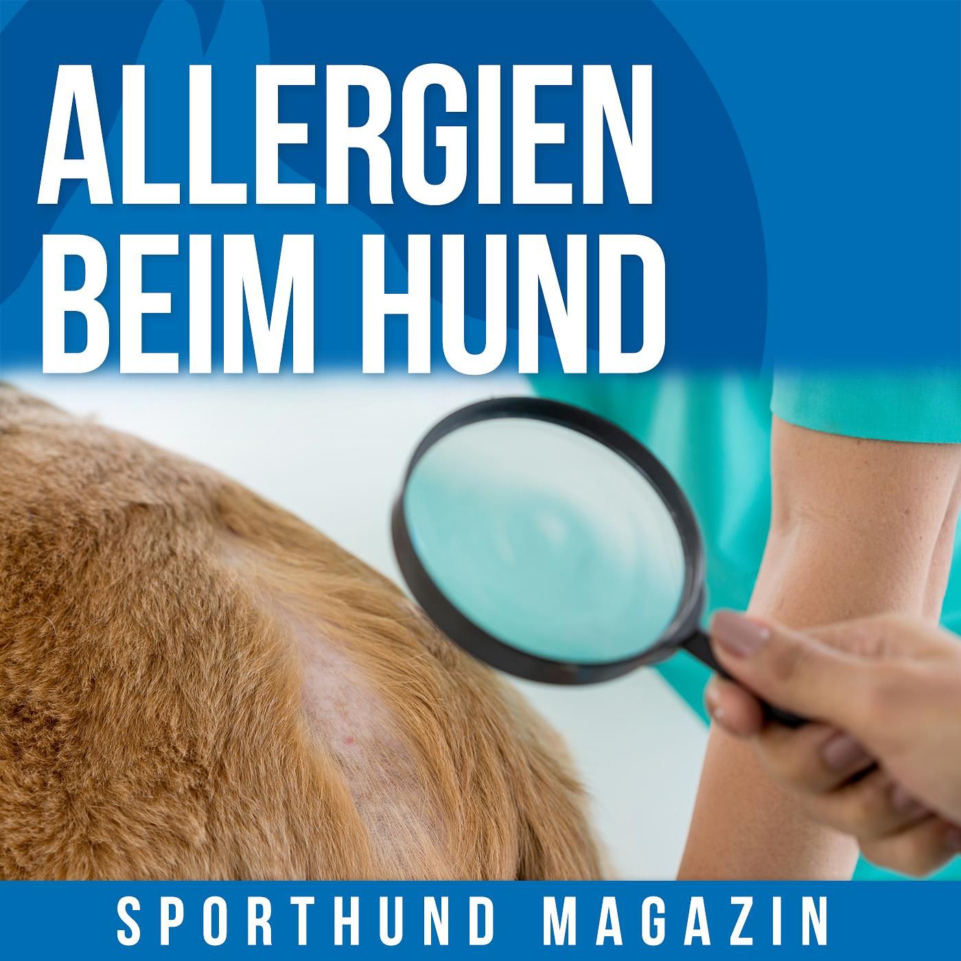 #20 Allergien beim Hund
