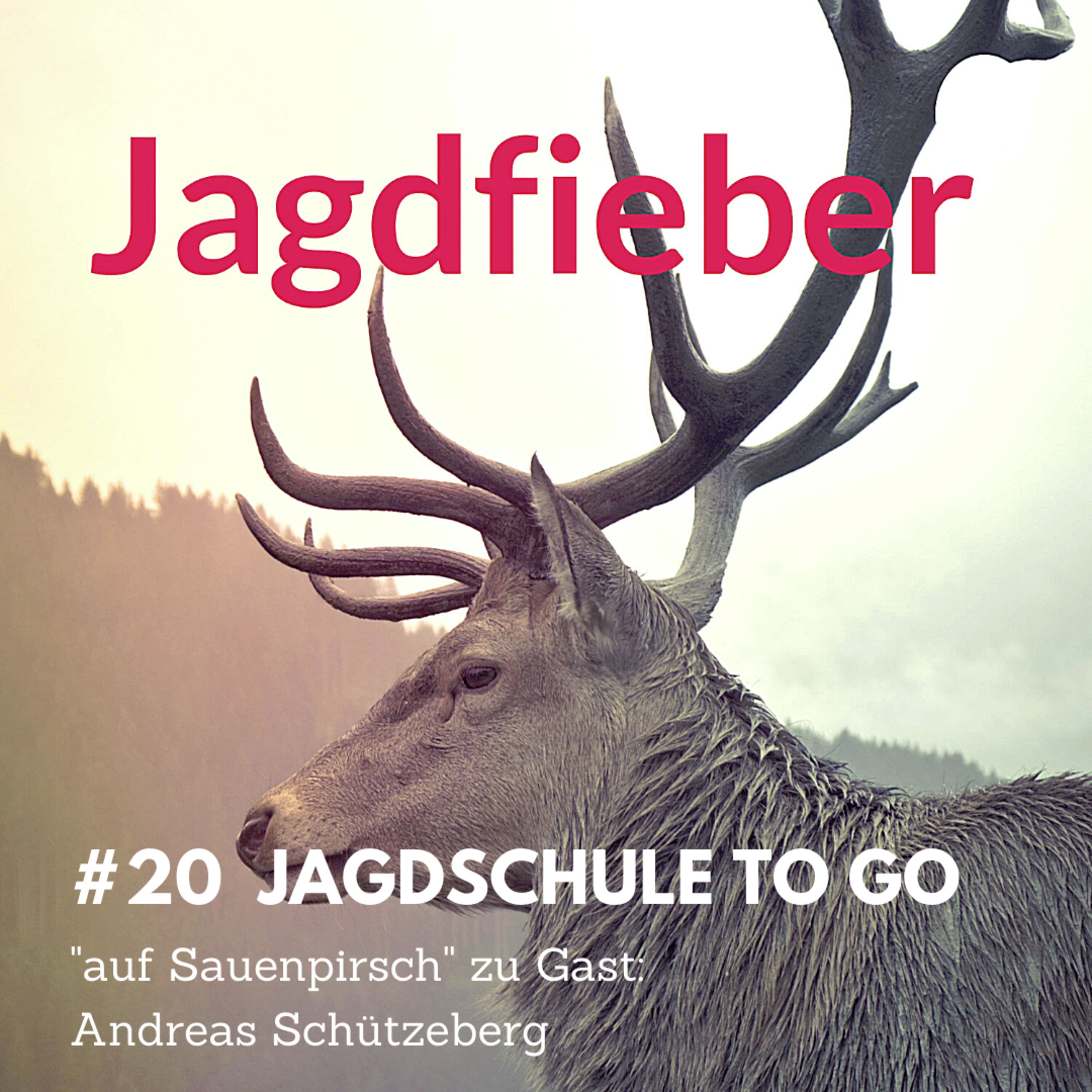 #20 Auf Sauenpirsch #weidmannsheil #jagdfieber #jagdpodcast #jagdschuletogo #schwarzwild #jagd #jagdblog #sauenjagd #nachtsichtgerät #wärmebild