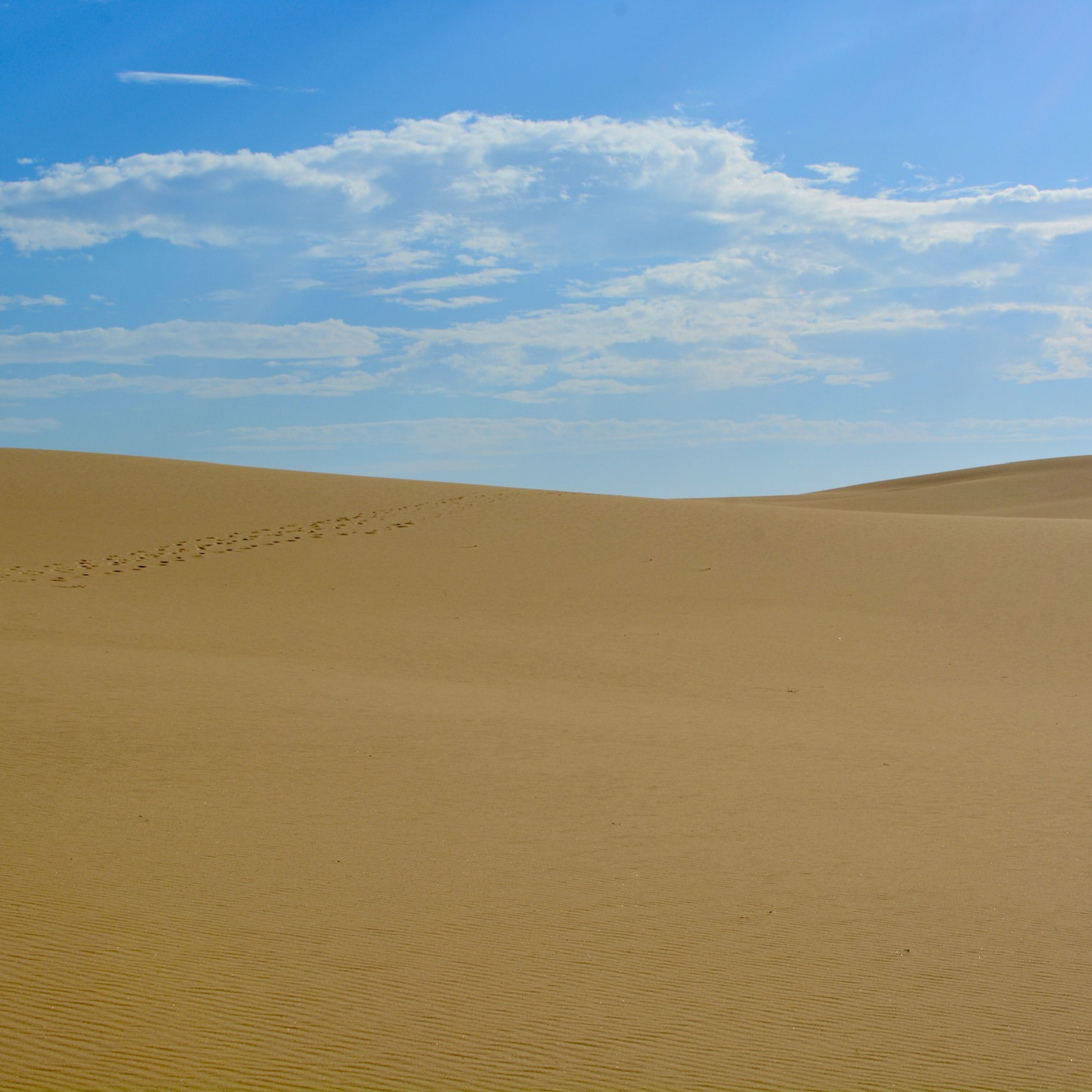 #20 Düne, Meer und Dämmerung