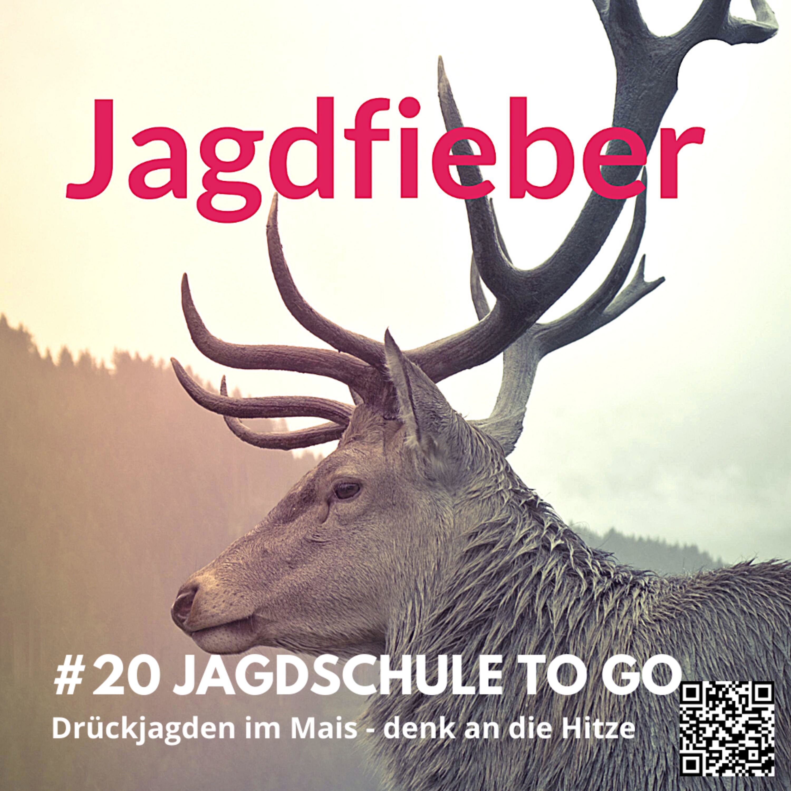 #20 Jagdschule to go "Drückjagd im Mais - denk an die Hitze" #jagdfieberpodcast #hundewesen #jagdhunde #sachsenjägerin #jagdschule #jagdpodcast #jagdschuletogo