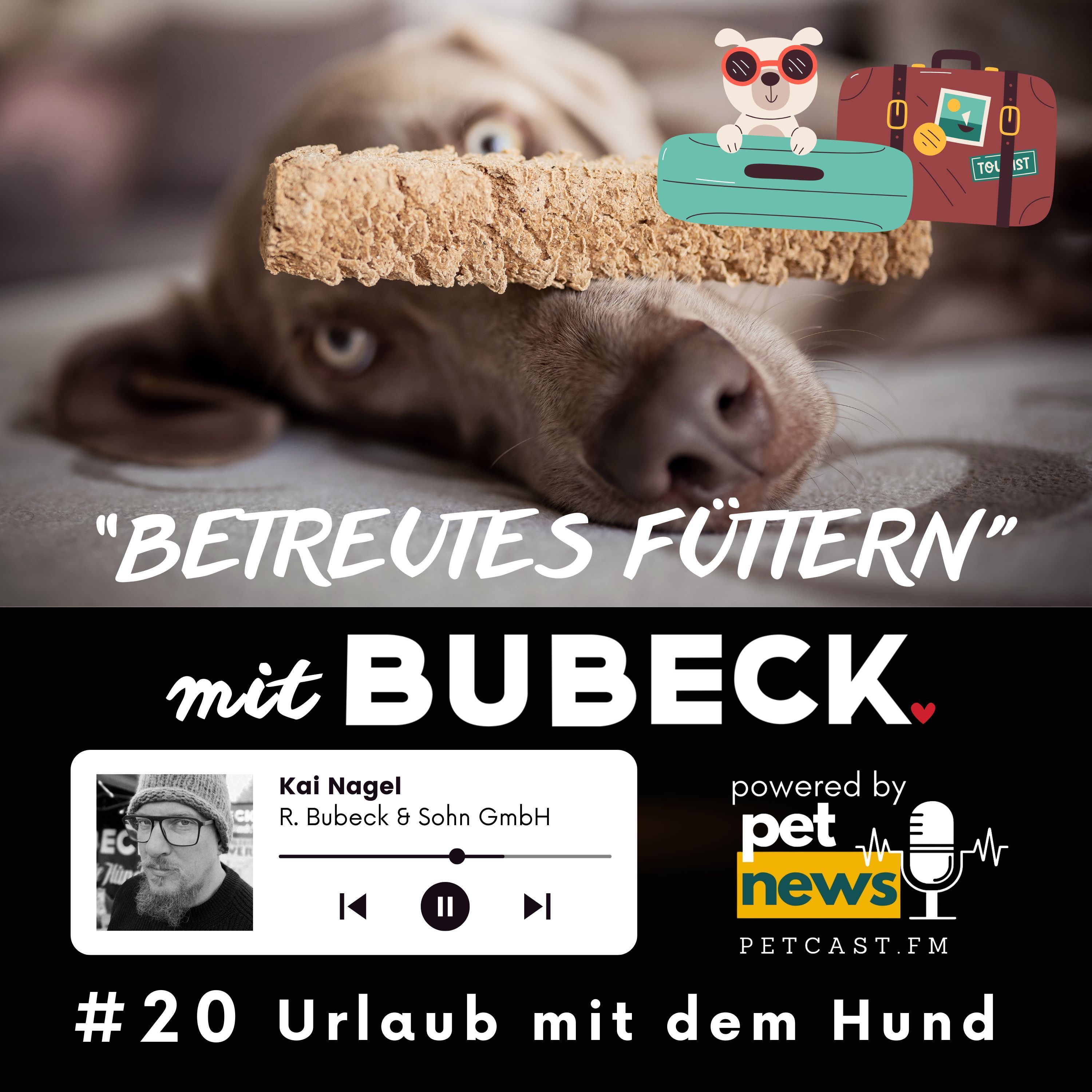 #20 - Urlaub mit dem Hund