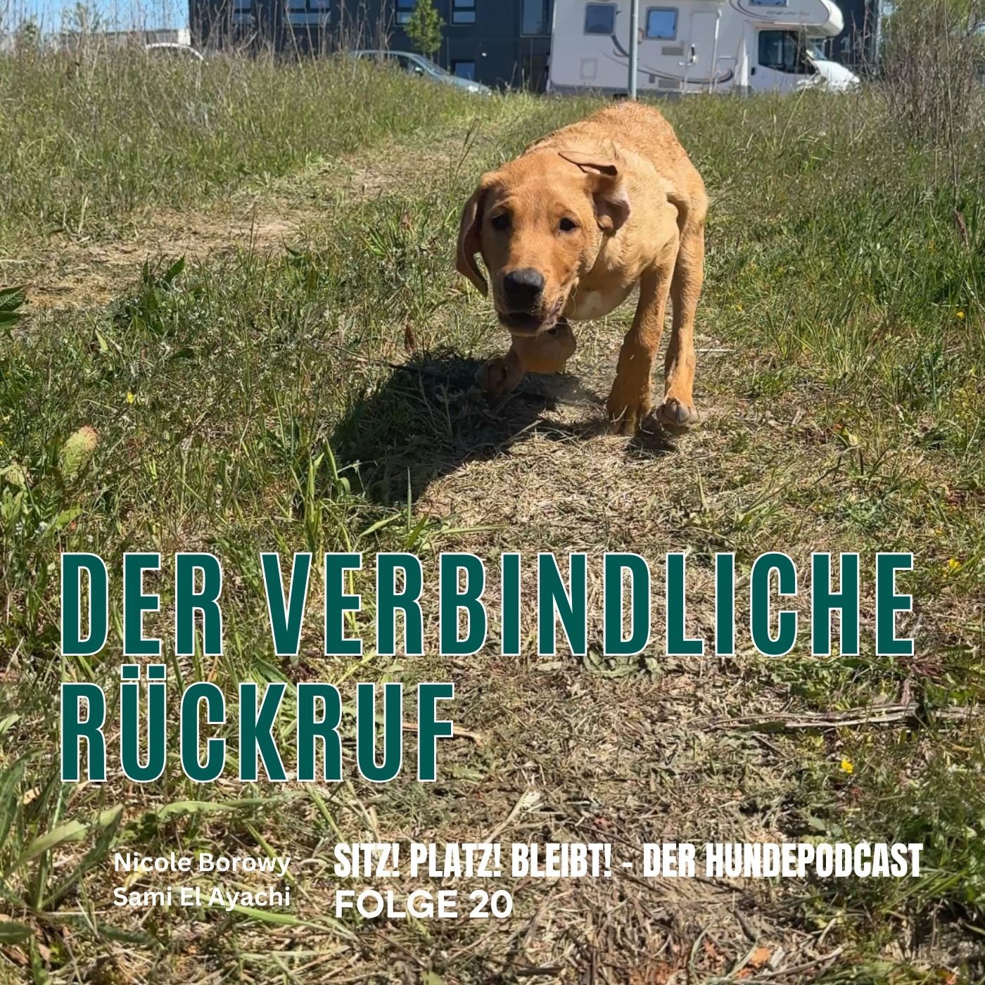 #20 Vom Wohnzimmer ins echte Leben: Der Blick auf den Rückruf