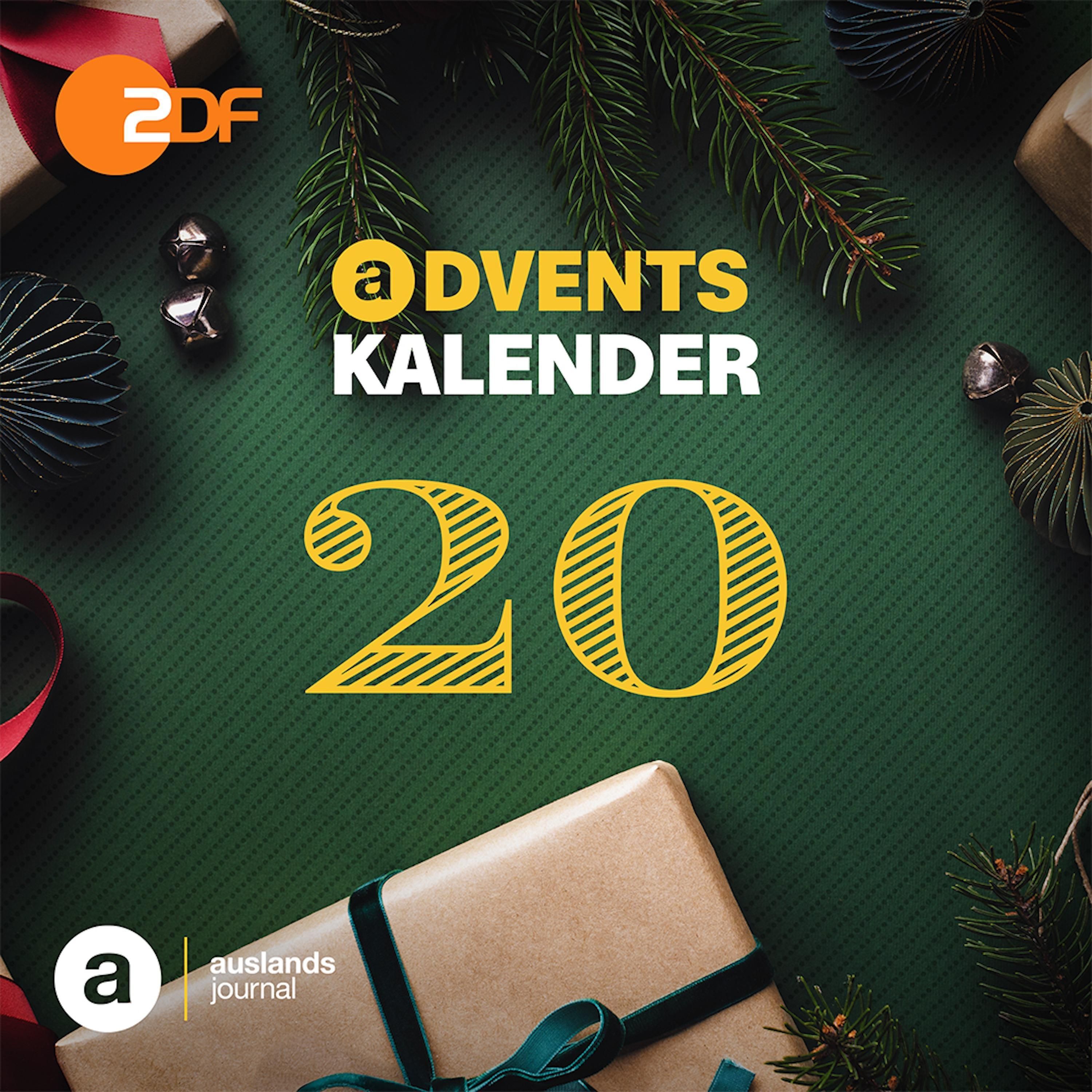 #20 Wie New York-Korrespondentin Nicola Albrecht in Toronto Waschbären jagt