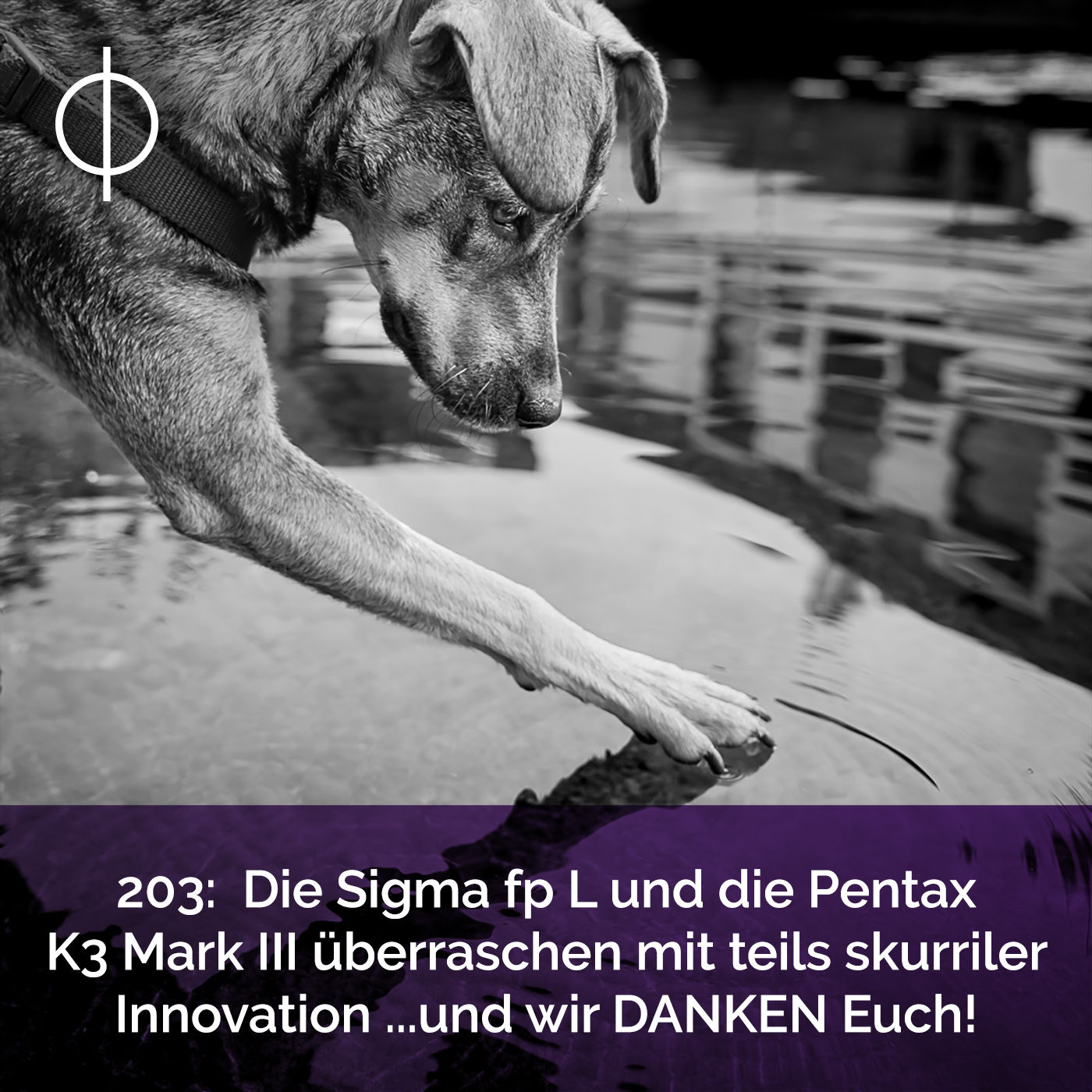 203: Die Sigma fp L und die Pentax K3 Mark III überraschen mit teils skurriler Innovation ... und wir danken euch!