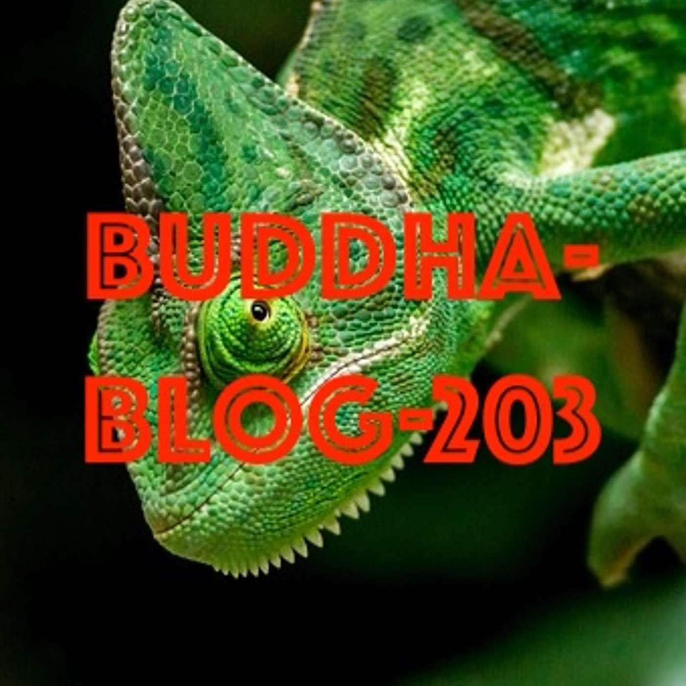 203-Tag für Tag - Buddha Blog - Buddhismus im Alltag