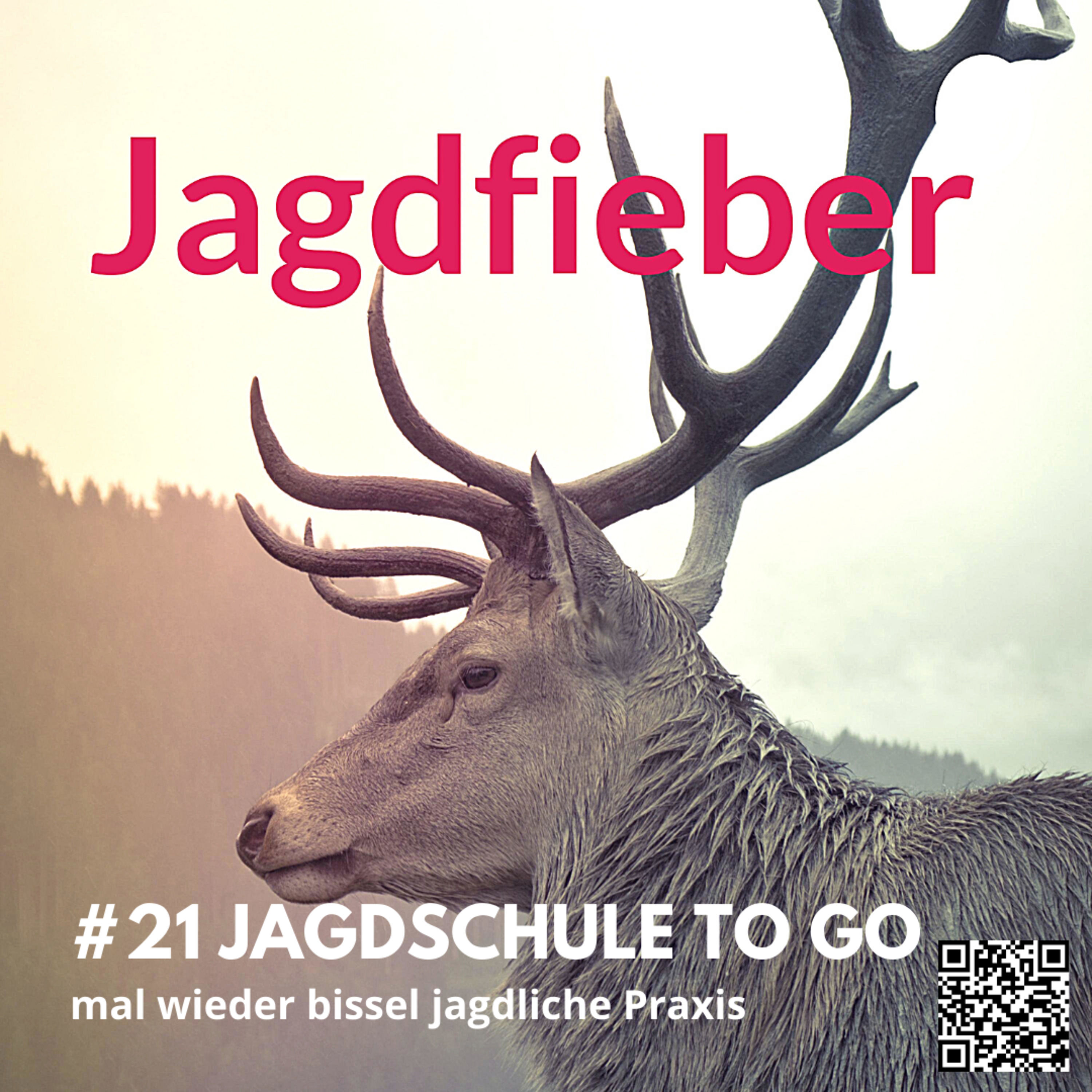 #21 Jagdschule to go- mal wieder was zur jagdlichen Praxis #jagdfieberpodcast #jagdpodcast #sachsenjägerin #jagdschule #jungjäger #jagdlichepraxis #jägerundjagd #jagdundhund