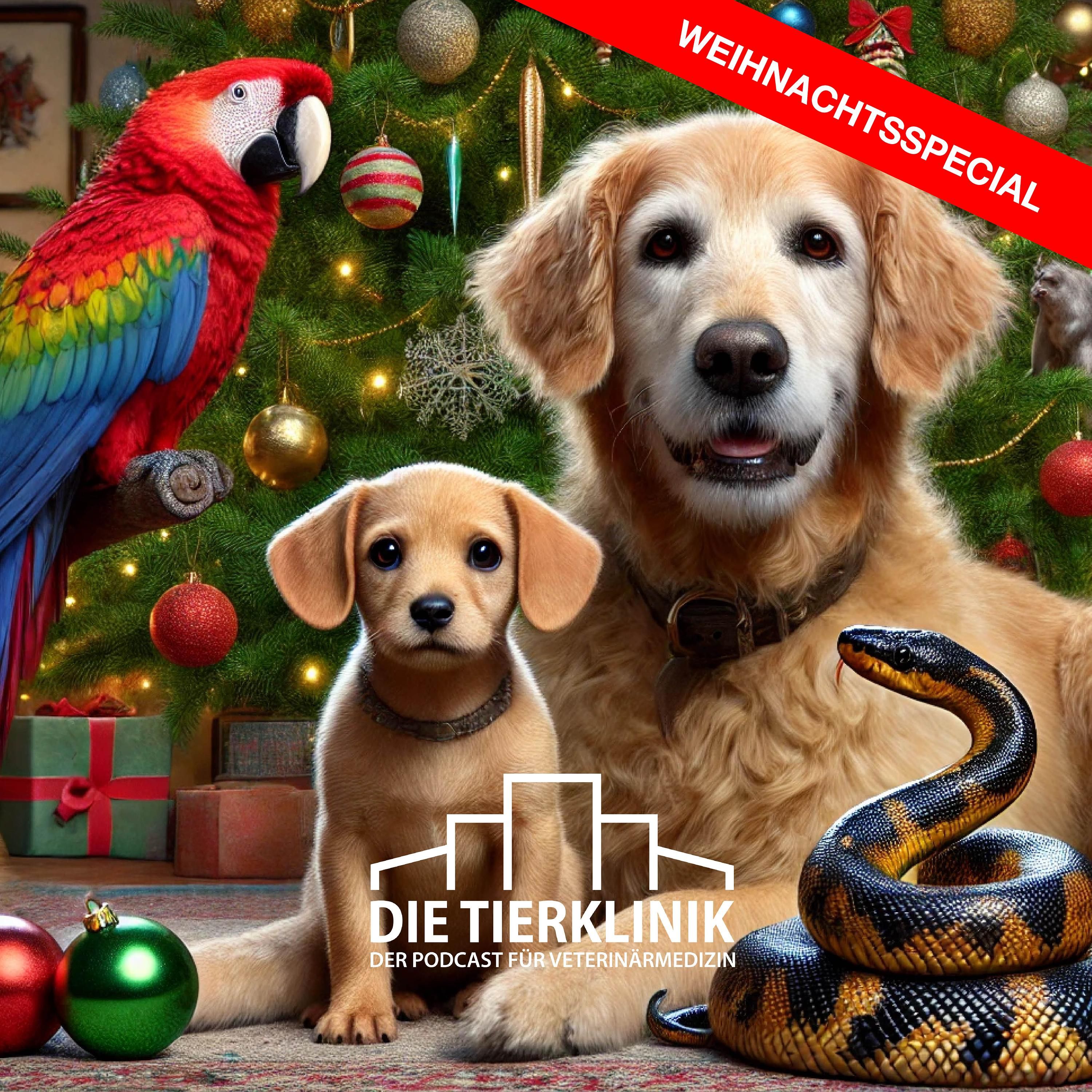 #21 Weihnachtsspecial: Unglaubliche Geschichten aus der Tierklinik