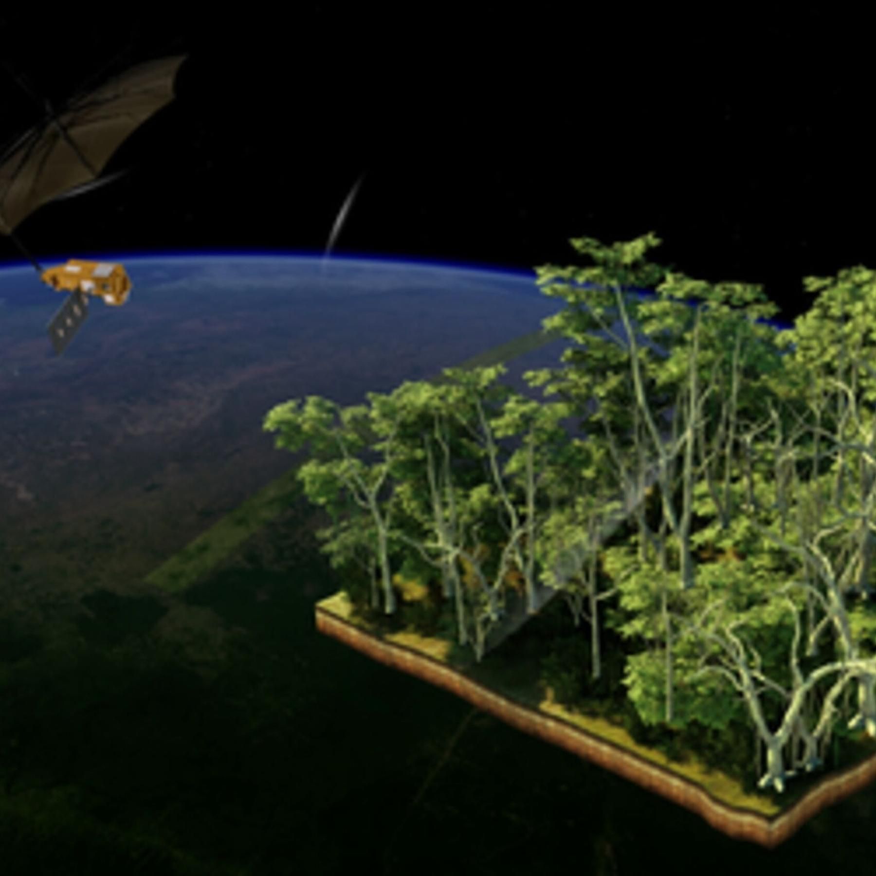 #214 So viel Wald gibt es auf der Welt - Biomass-Satellit soll das Lungenvolumen der Erde entschlüsseln