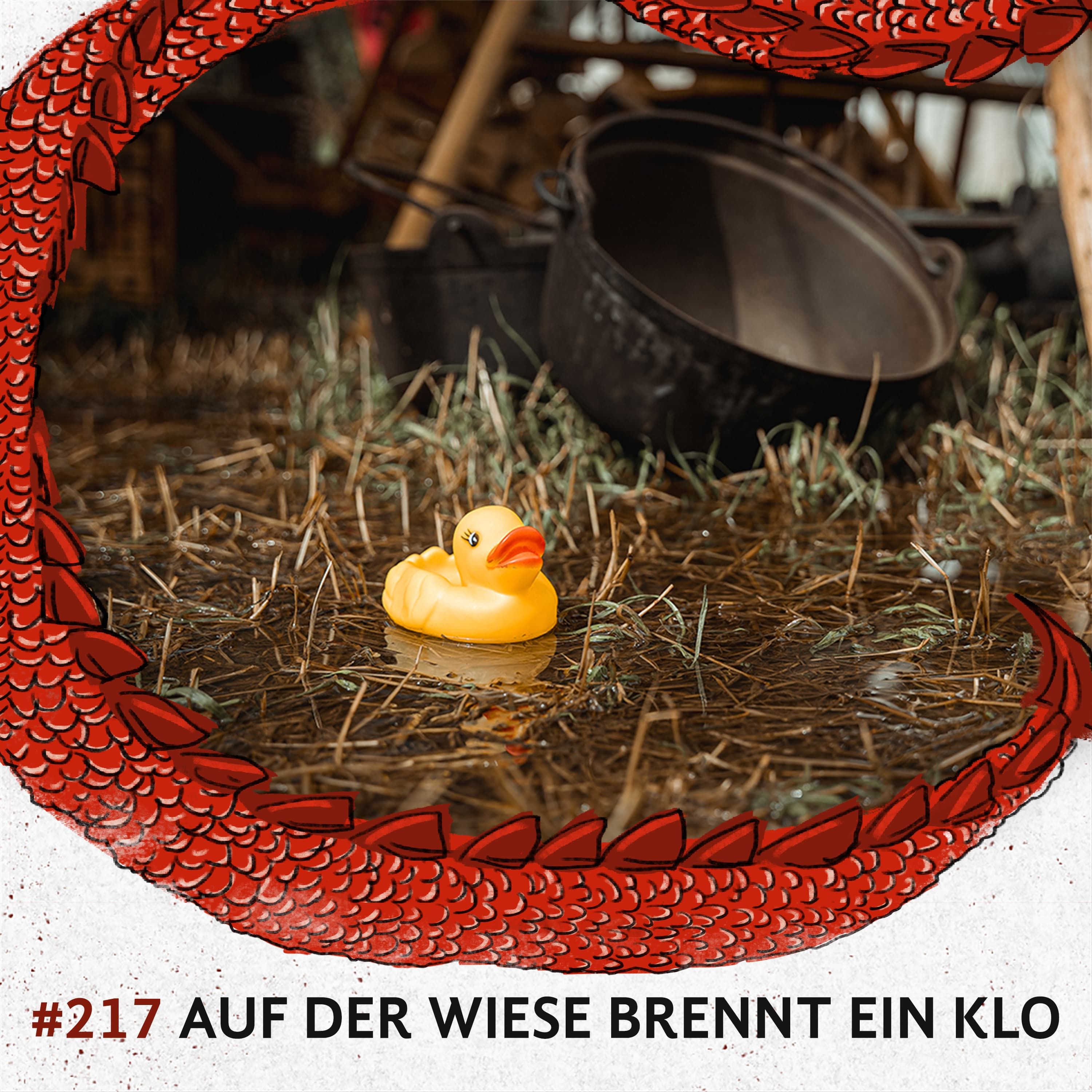 217 Auf der Wiese brennt ein Klo