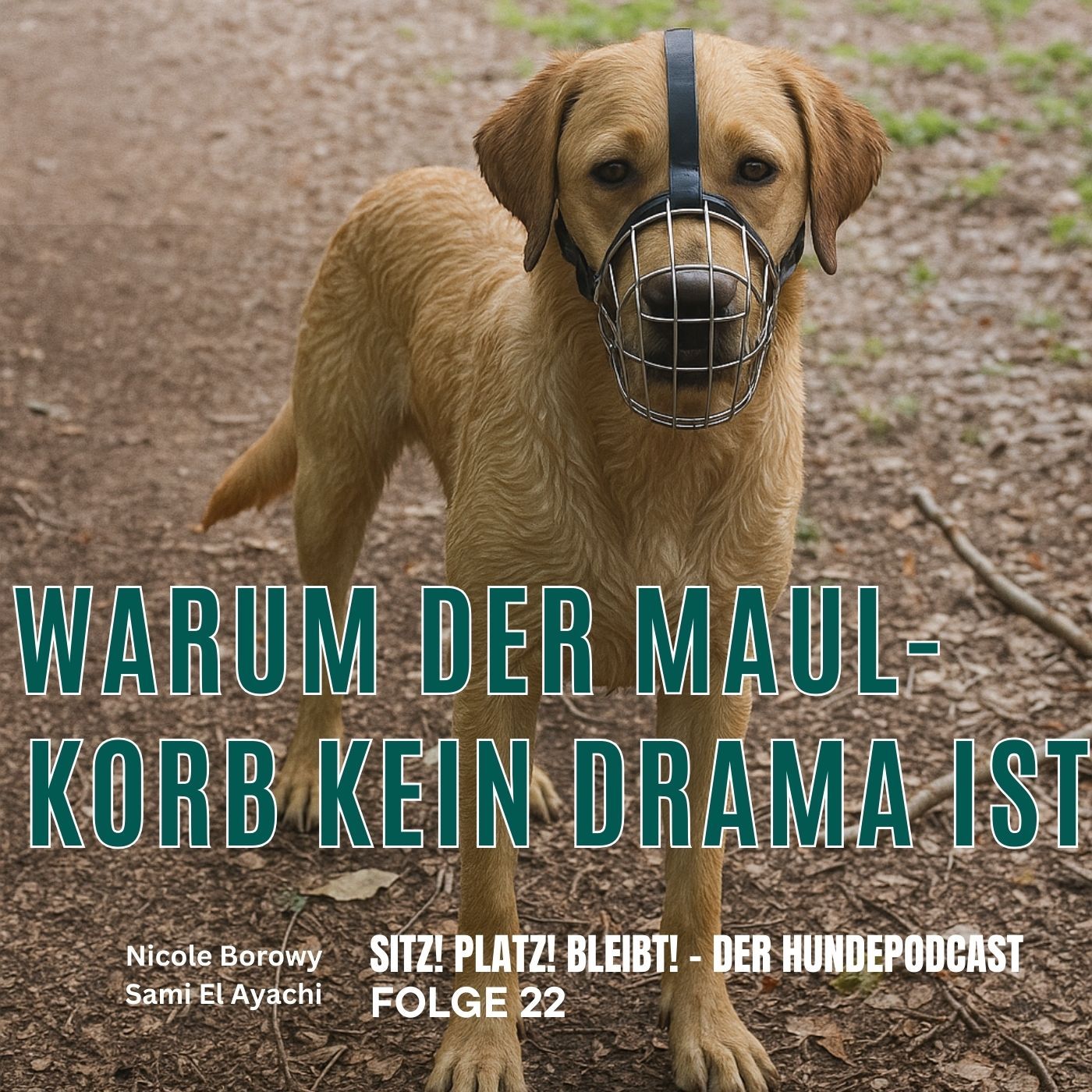 #22 Der Maulkorb - Warum er kein Drama ist