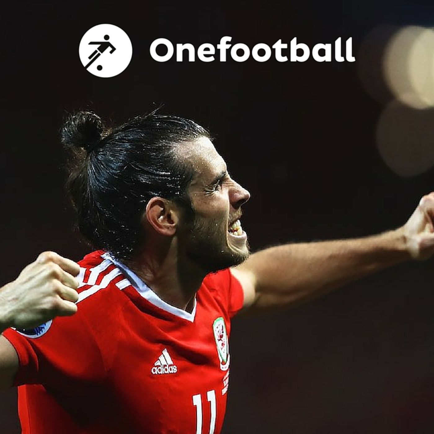 22: Euro 2016: Wales shine bright as group stages come to a close