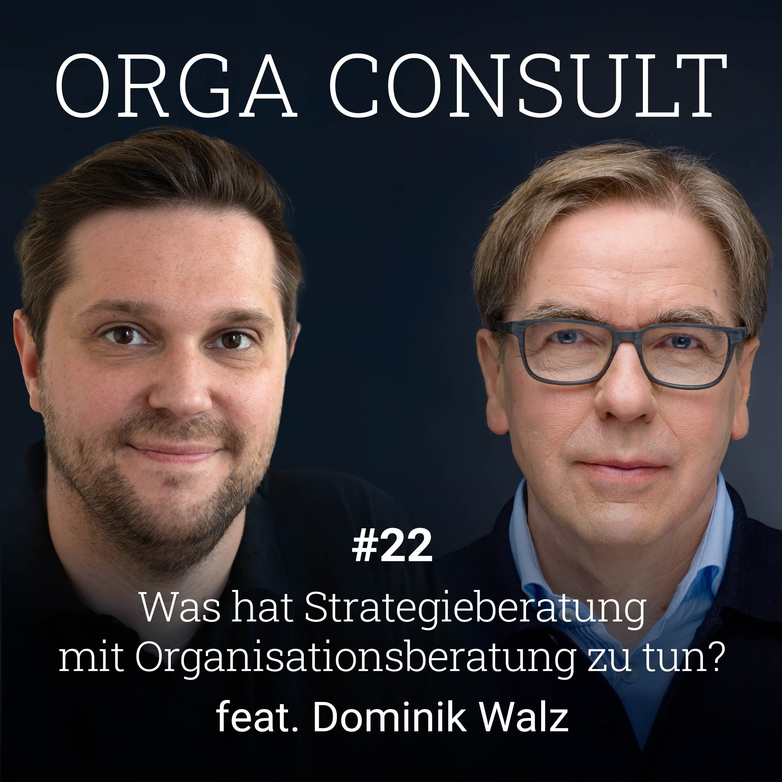 #22 Was hat Strategieberatung mit Organisationsberatung zu tun Dominik Walz?