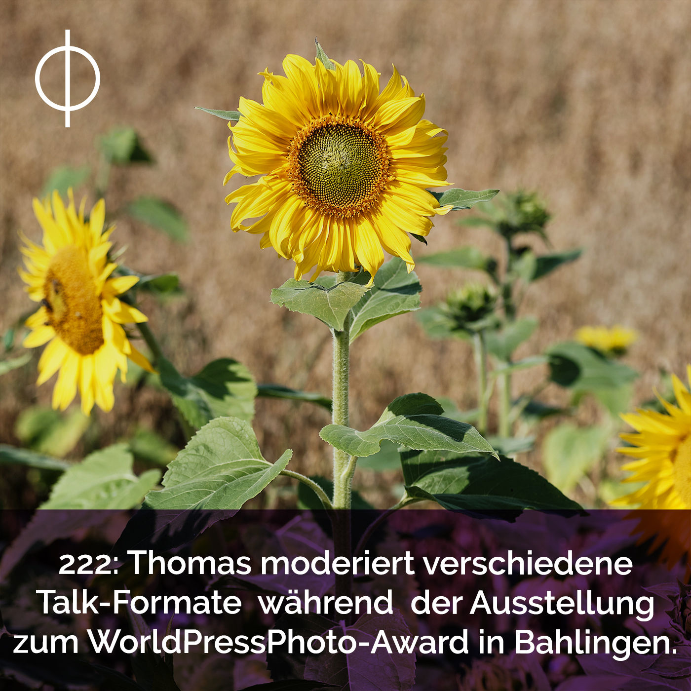 222: Thomas moderiert verschiedene Talk-Formate während der Ausstellung zum World Press Photo Award in Balingen
