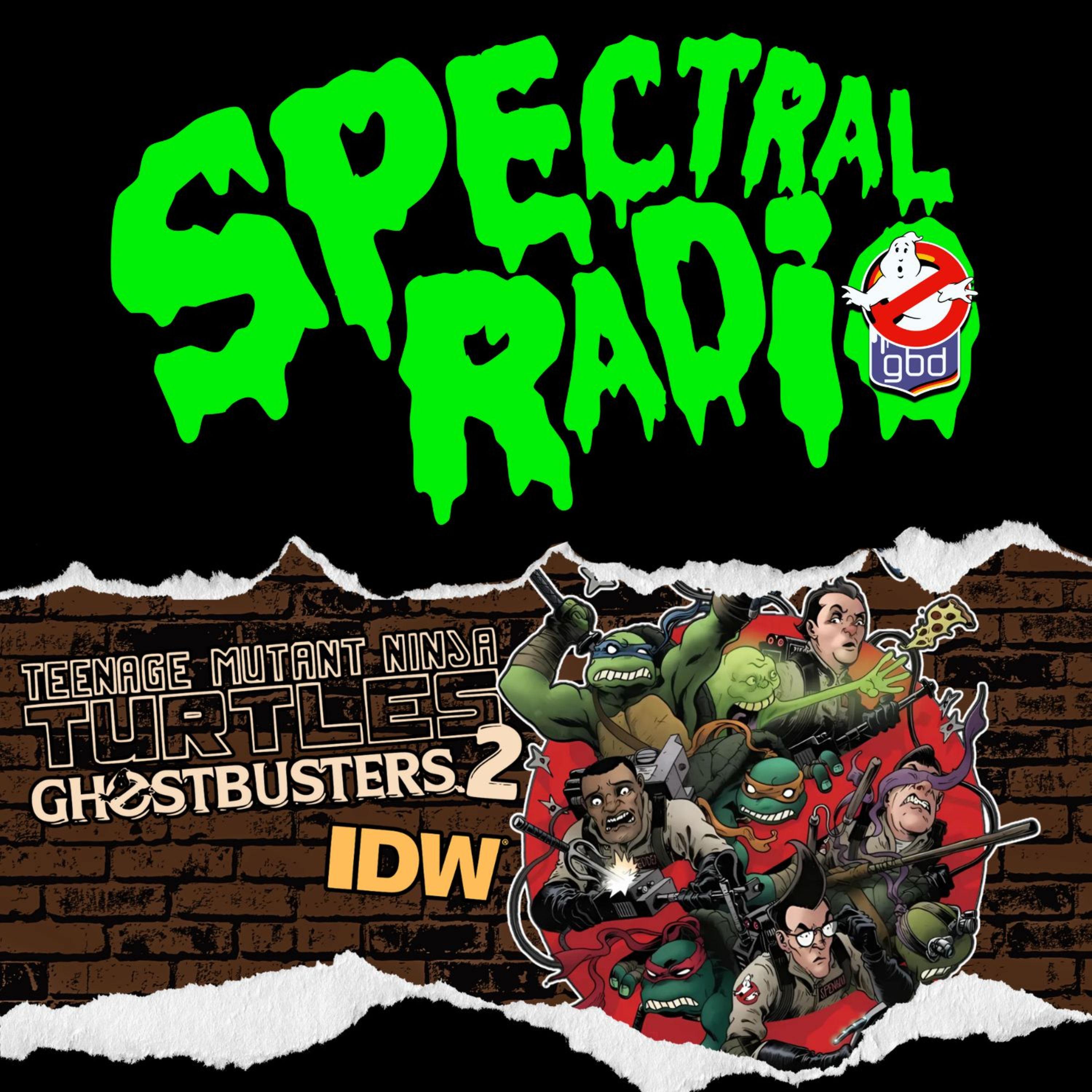 #226: RAY'S OCCULT BOOKS: Ghostbusters/ Teenage Mutant Ninja Turtles 2 (IDW)