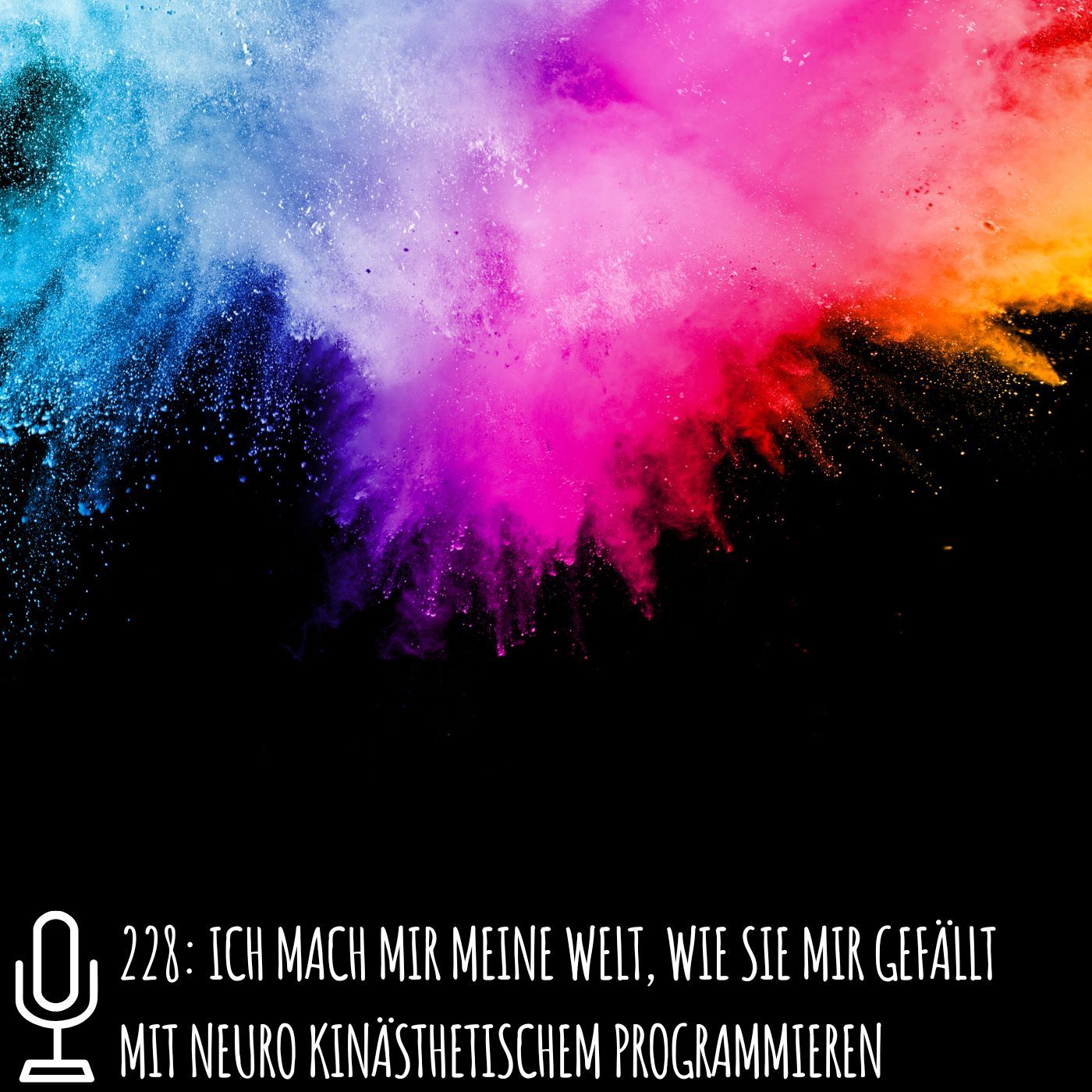 228: Ich mach mir meine Welt, wie sie mir gefällt mit Neuro Kinästhetischem Programmieren