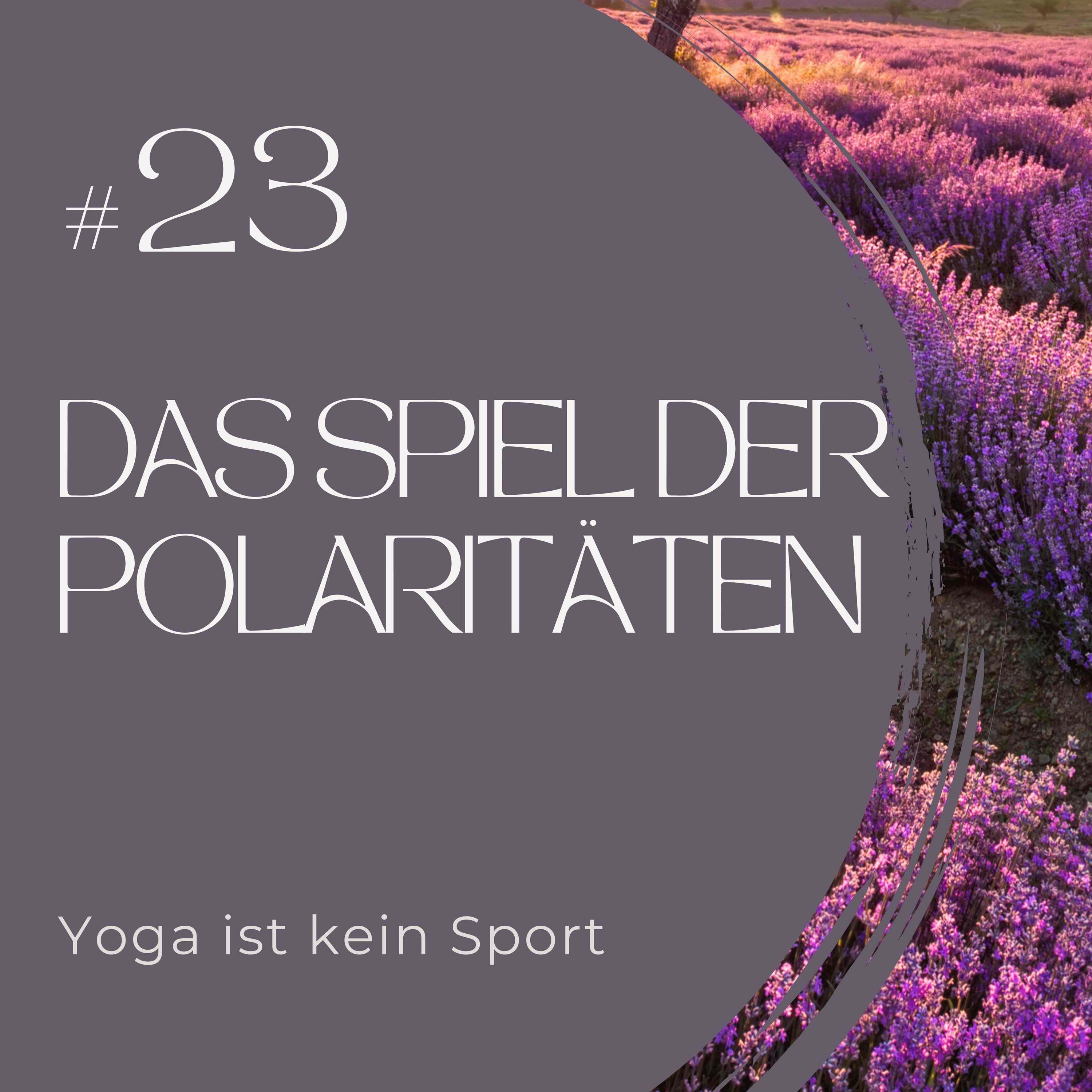 #23 Das Spiel der Polaritäten 2/8