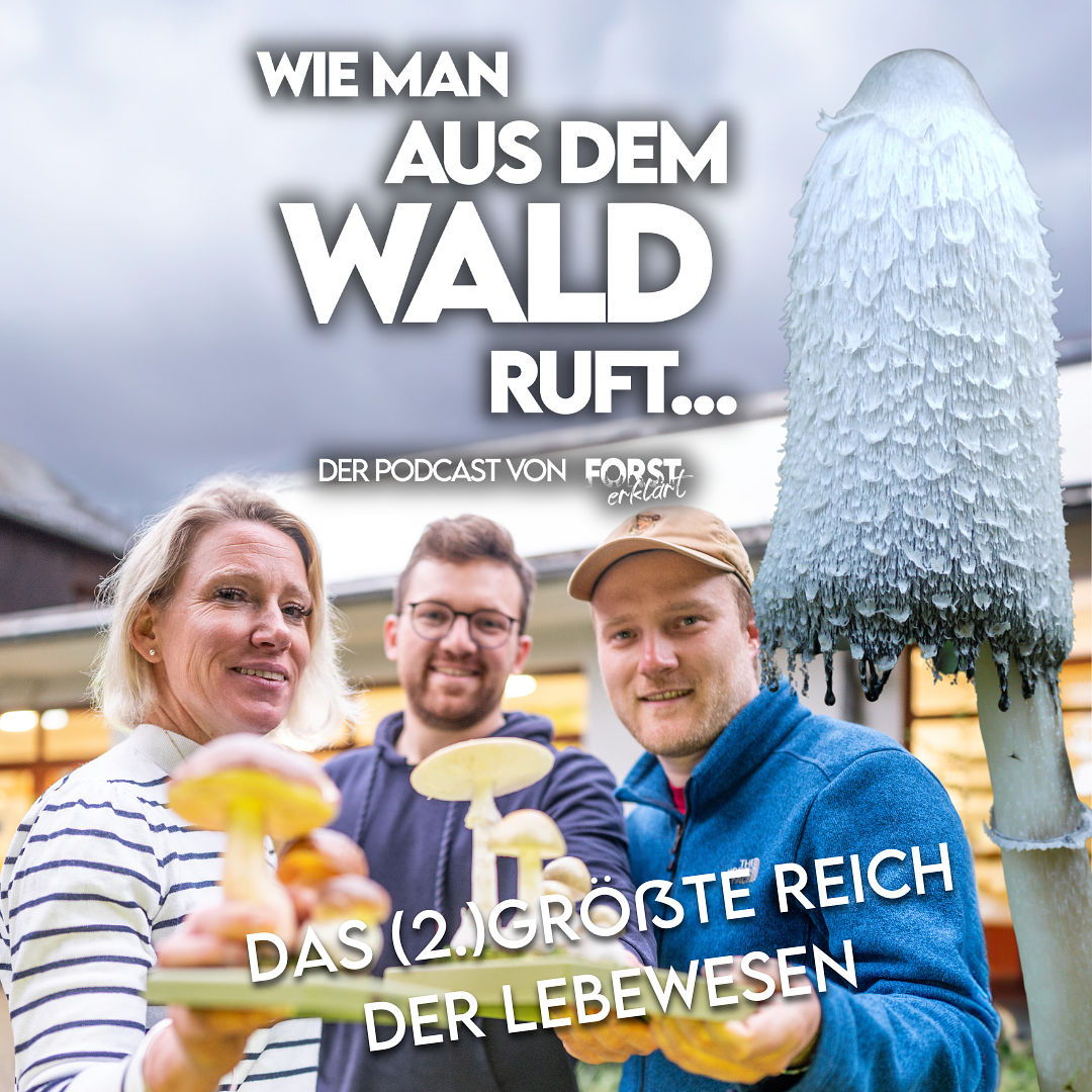 #23 Das (zweit-)größte Reich der Lebewesen