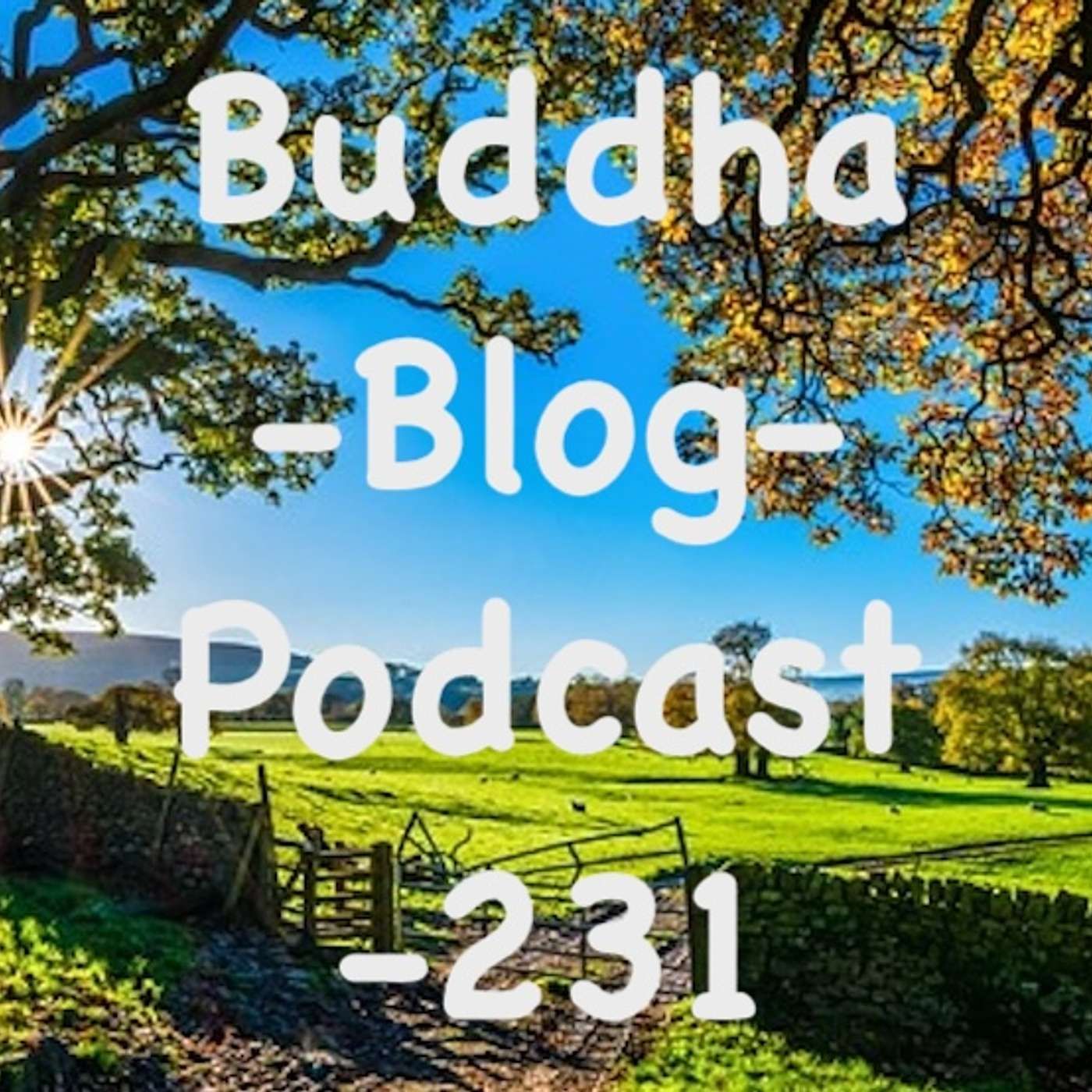 231-Verschmelze mit dem Urgrund - Buddha Blog - Buddhismus im Alltag