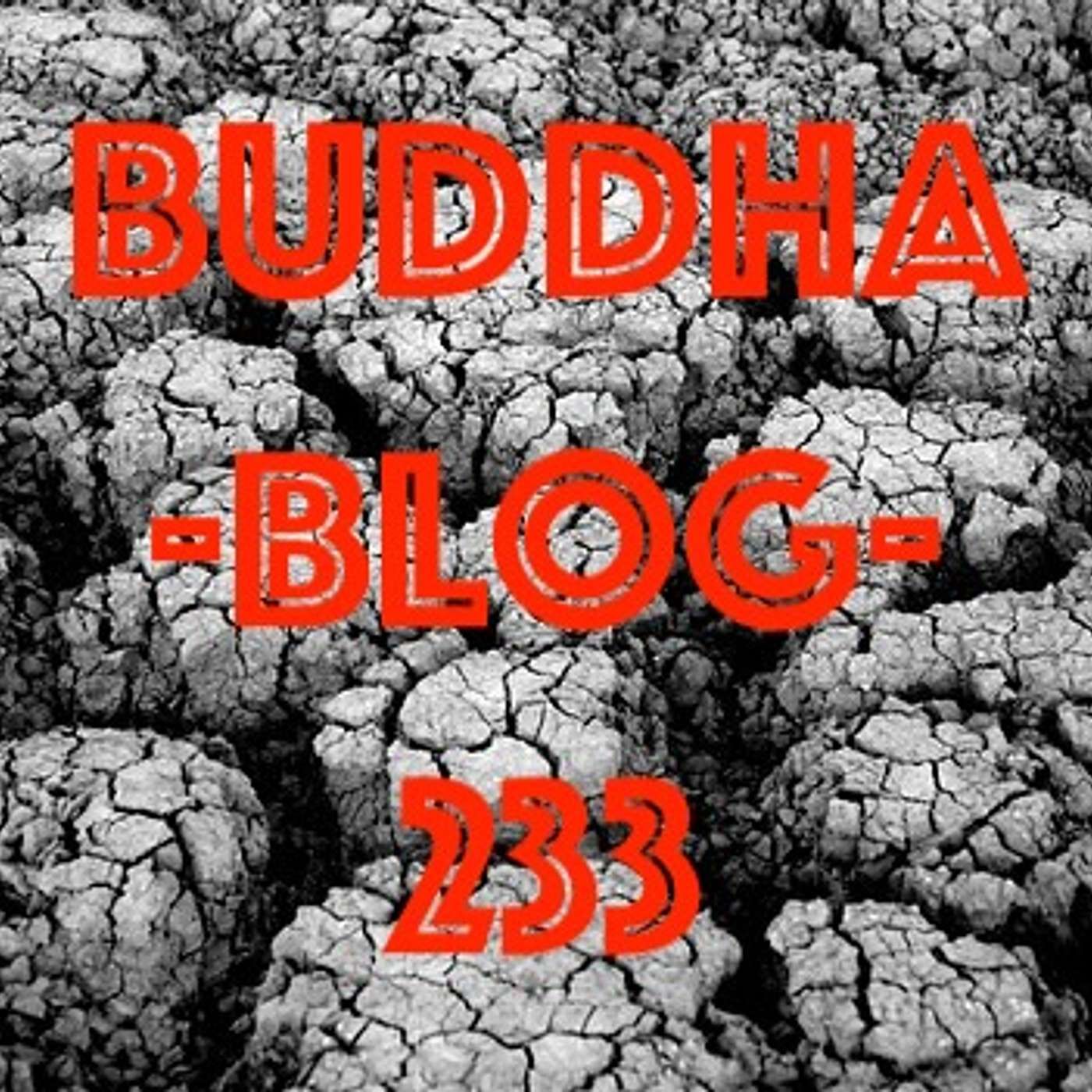 233-Verschmelze mit dem Urgrund 2 - Buddhismus im Alltag