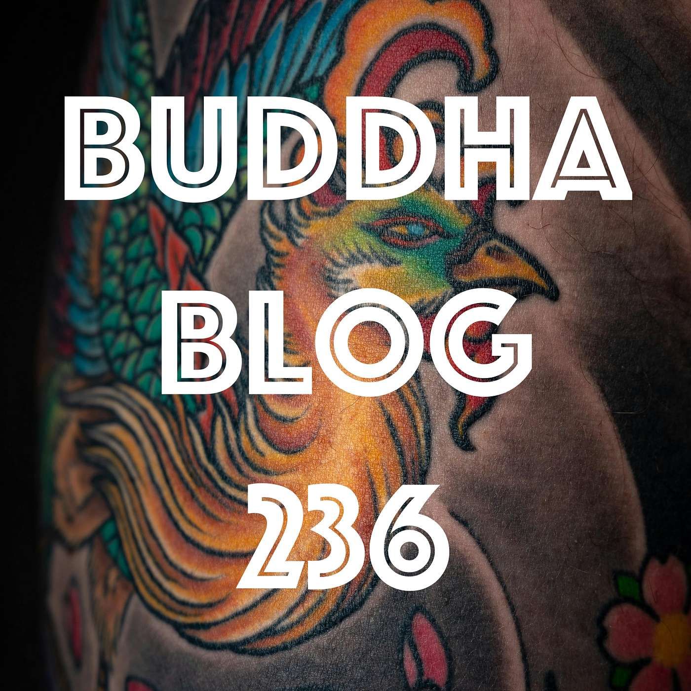 236-Phoenix - Buddhismus im Alltag