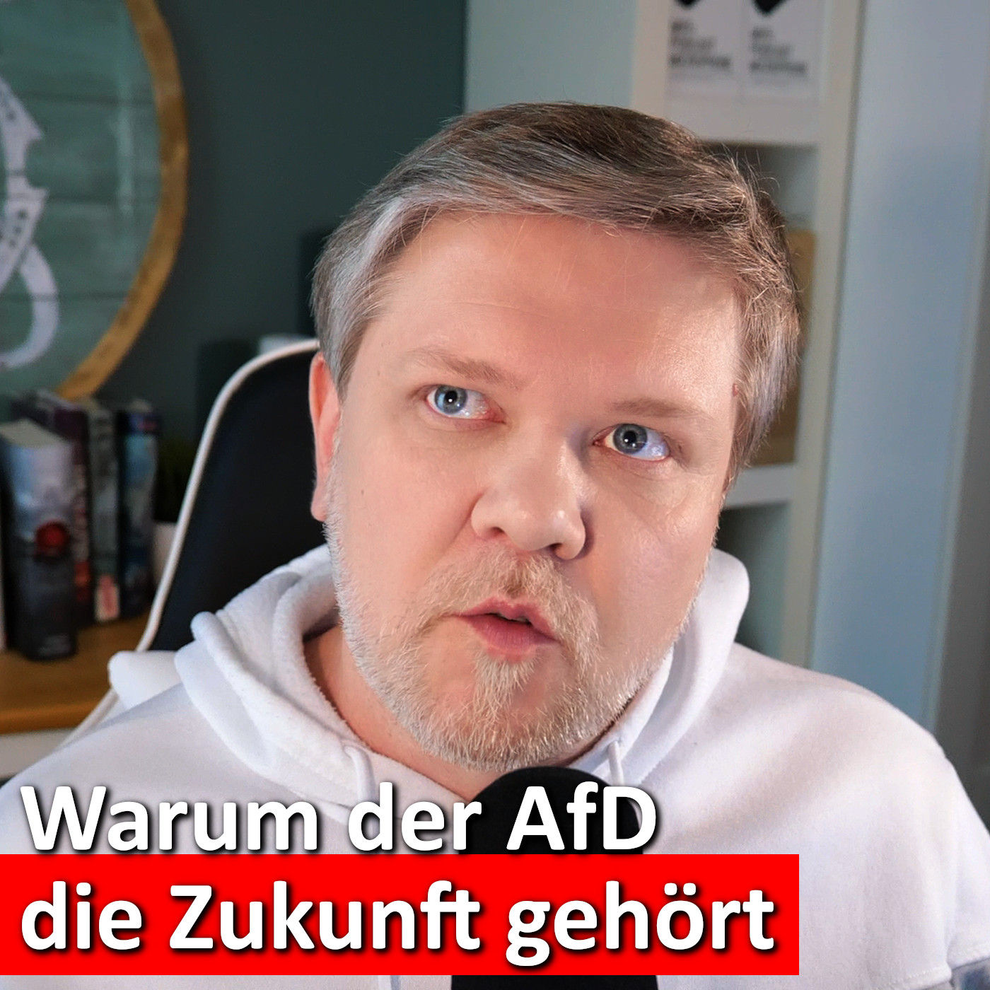 #237: INSA-Umfrage schockiert: AfD wird zur Zukunftspartei Deutschlands?