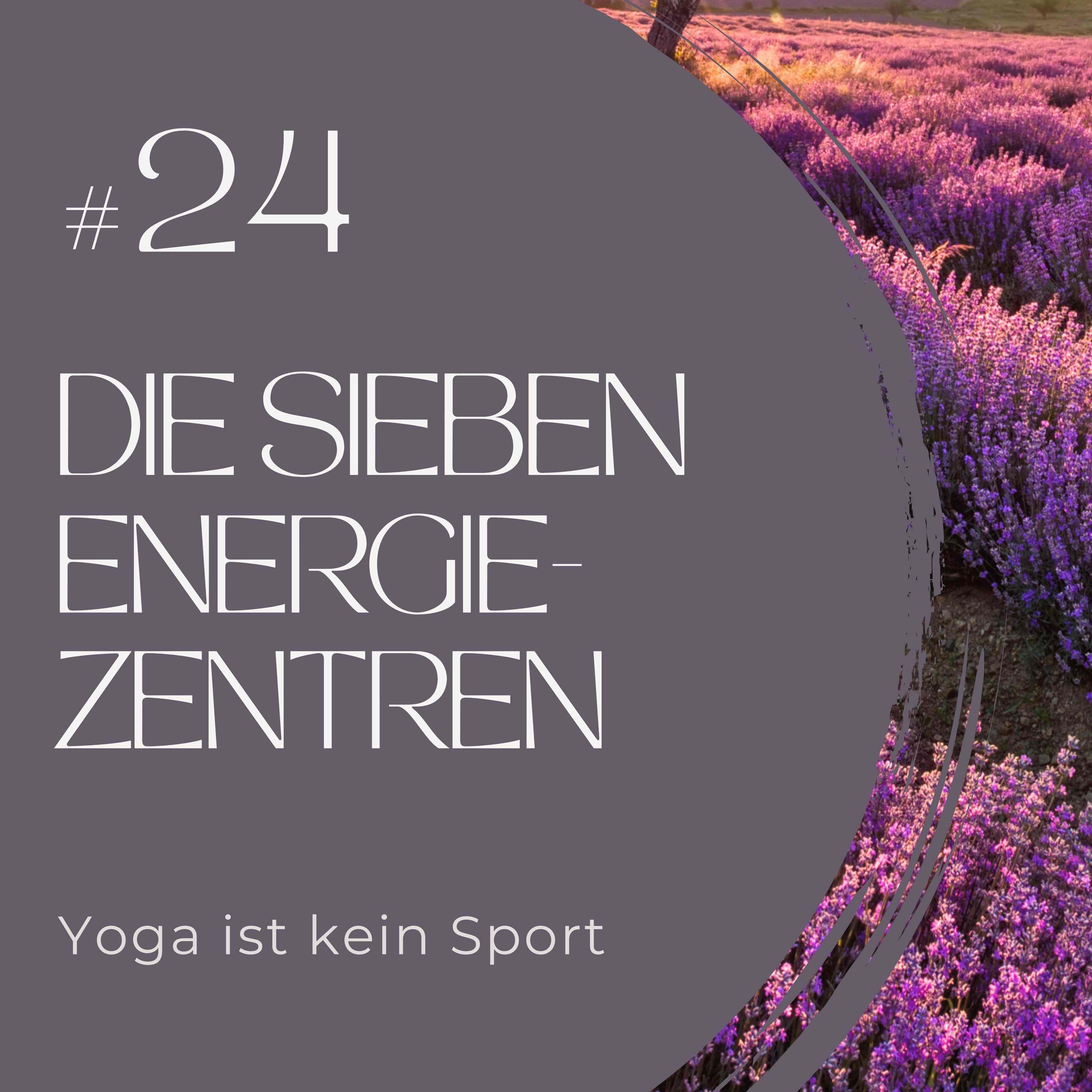 #24 Die sieben Energiezentren (Unsere Chakren) 3/8