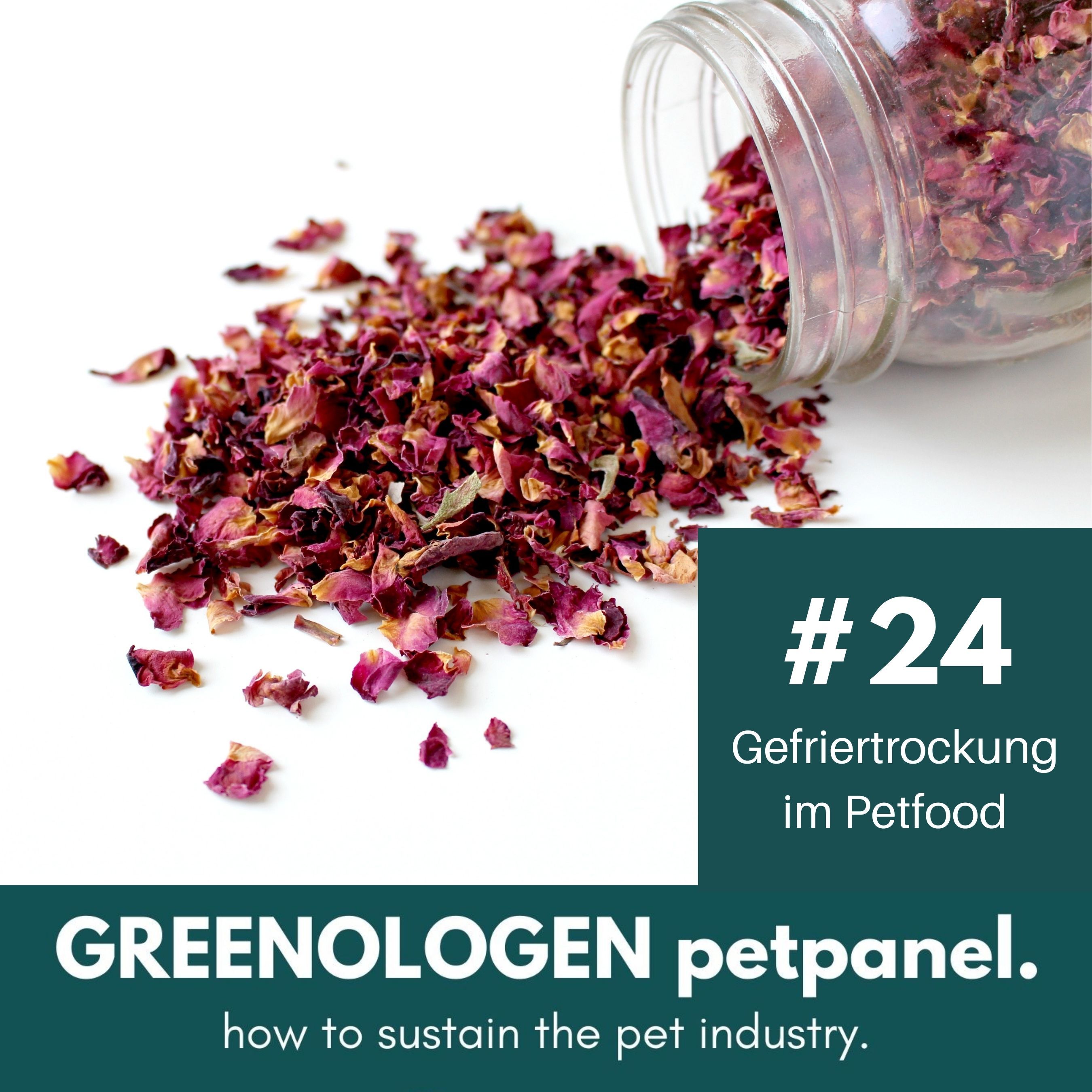#24 - Gefriertrocknung – gesund pur oder nur Energieverschwendung?