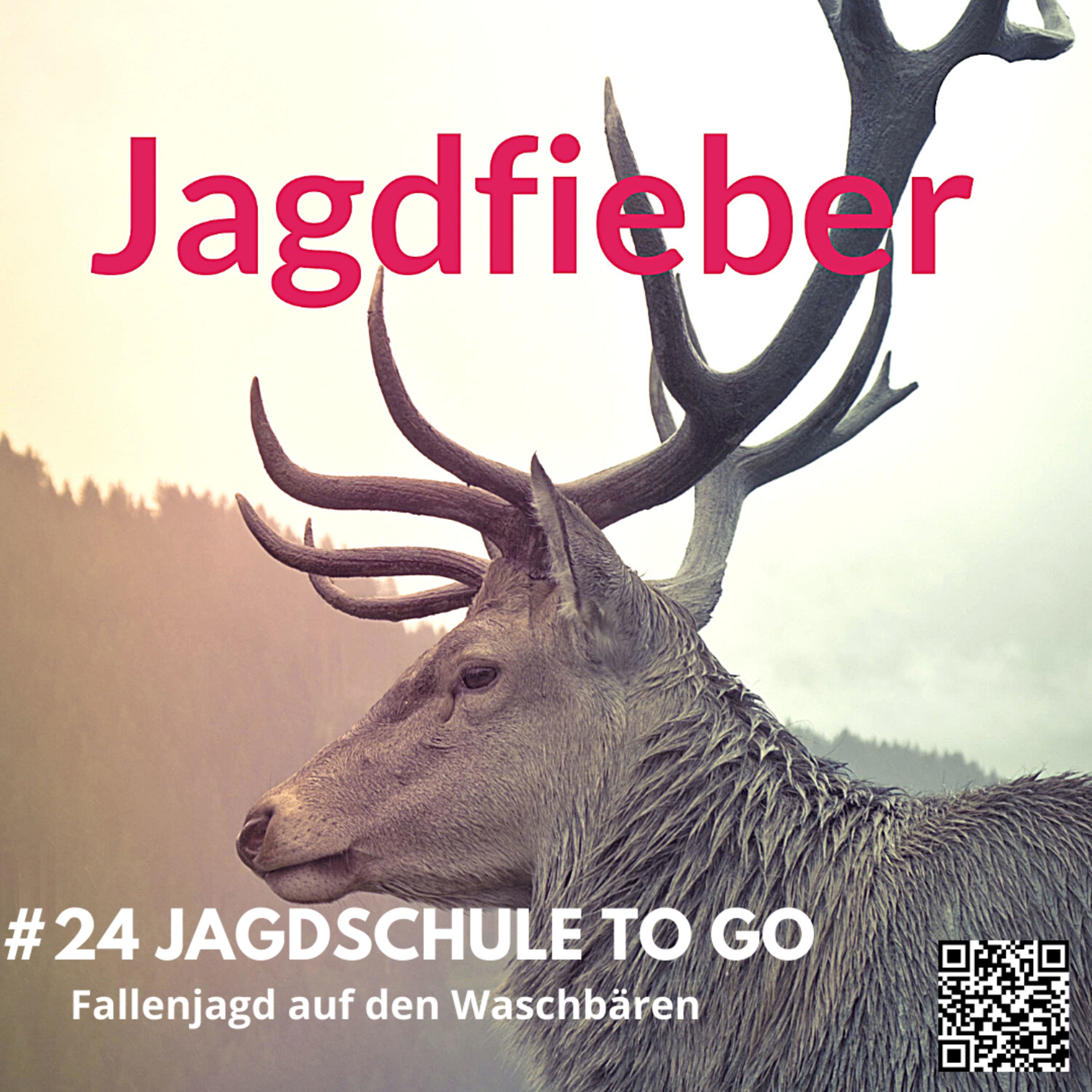 #24 Jagdschule to go "Fallenjagd auf Waschbären" #jagdfieberpodcast #jagdpodcast #jagen #fallenjagd #waschbär #sachsenjägerin #jagdschule #jungjäger #anjapötzsch