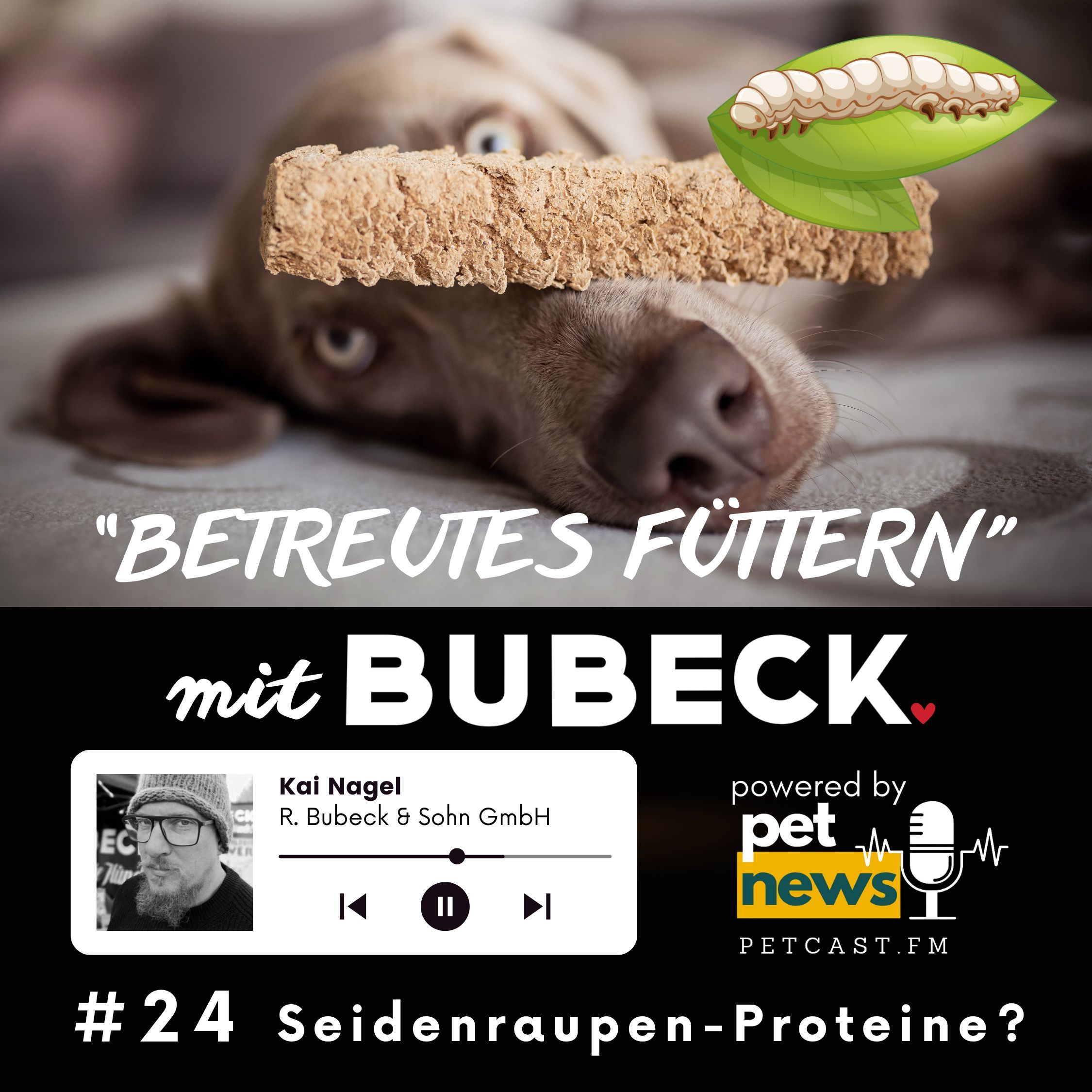 #24 - Seidenraupenprotein – Luxusabfall oder nachhaltige Proteinquelle?