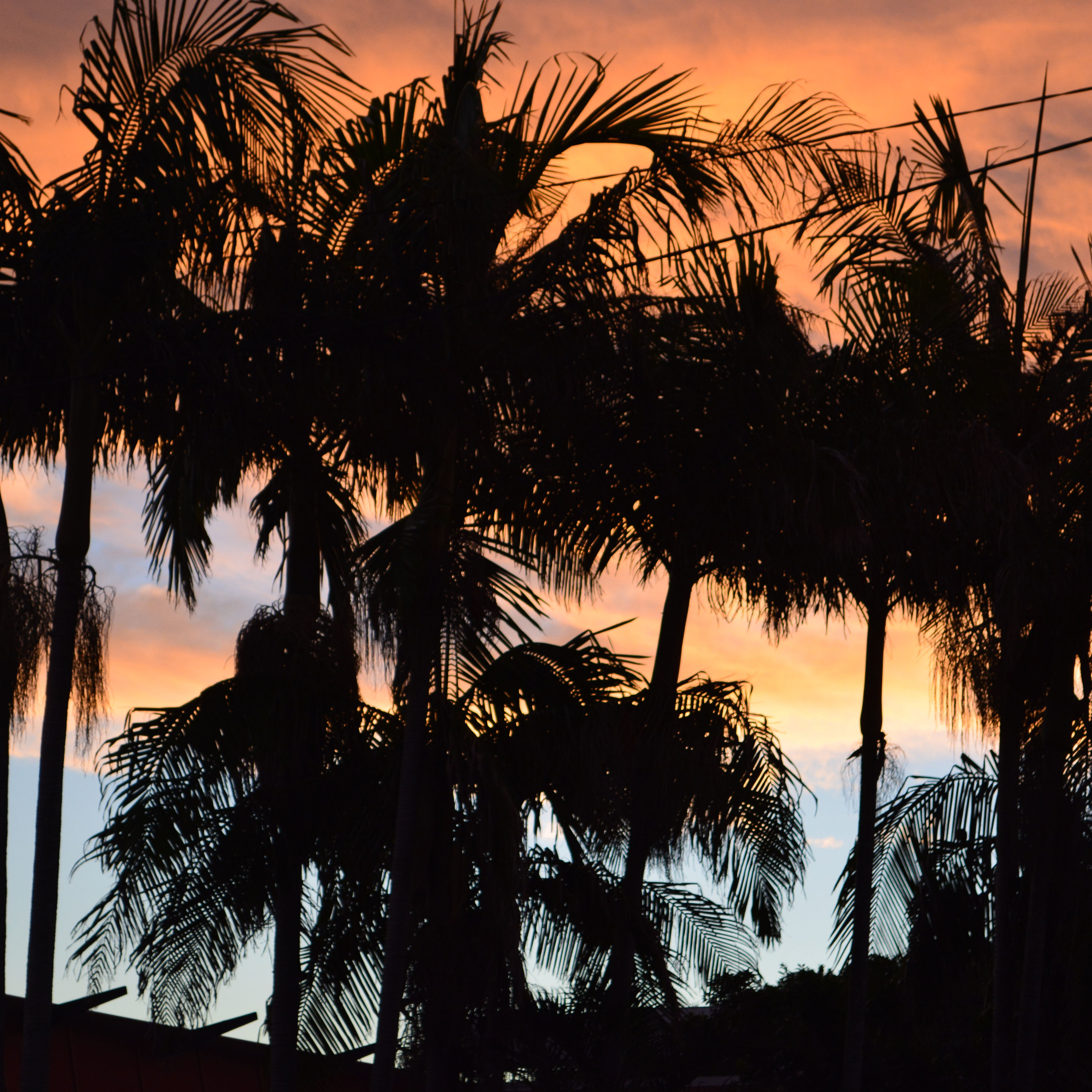#24 Sonnenuntergang in Byron Bay