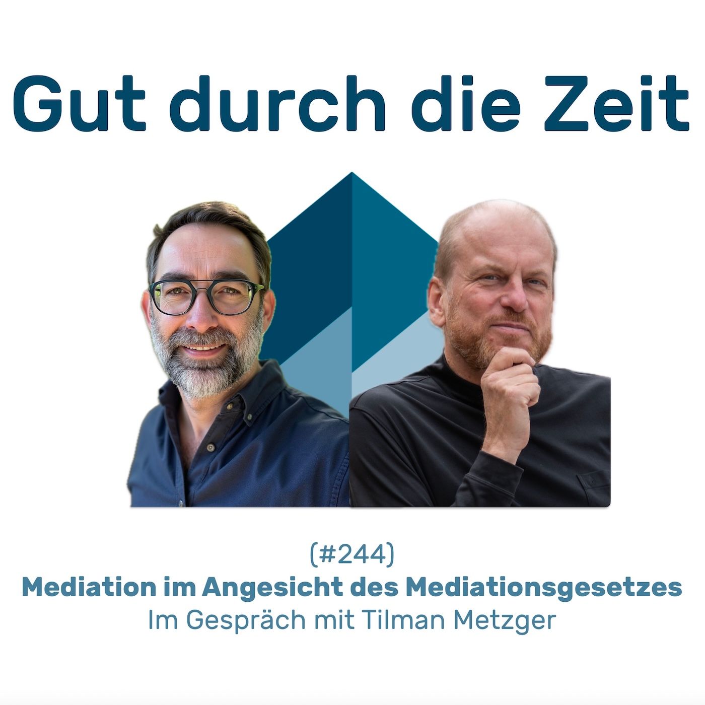 #244 GddZ - Mediation im Angesicht des Mediationsgesetzes. Im Gespräch mit Tilman Metzger