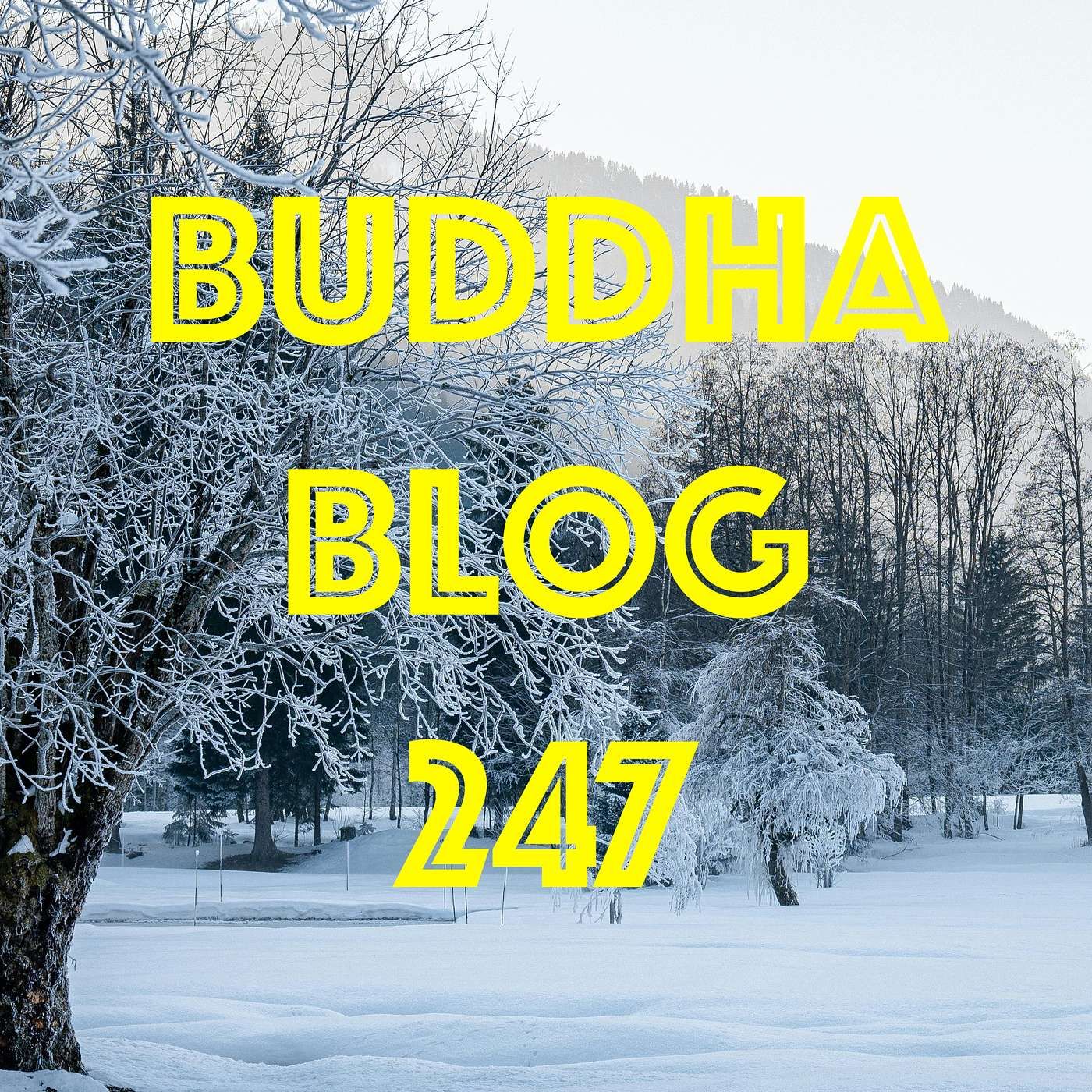247-Anfang und Ende - Buddha Blog Podcast - Buddhismus im Alltag