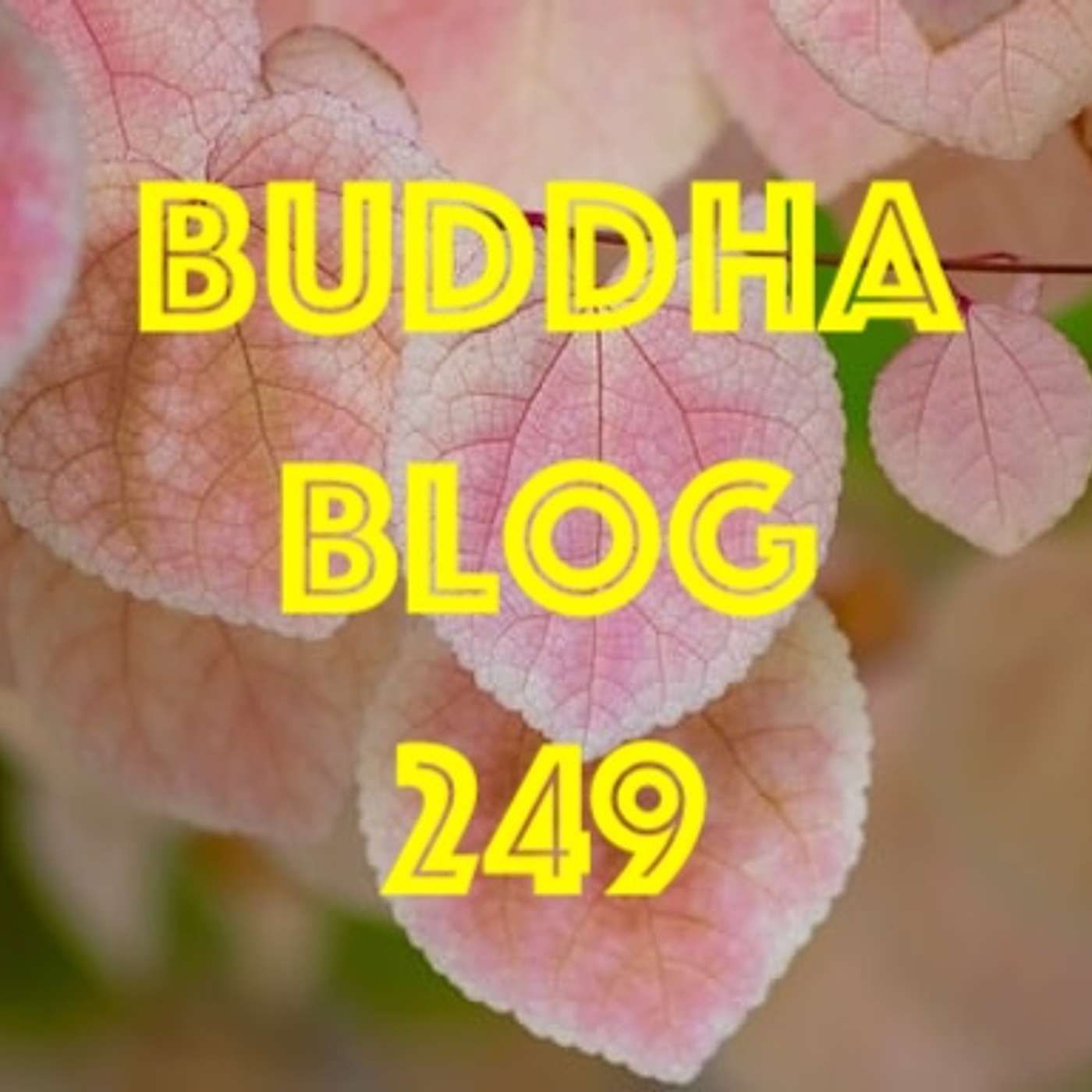 249-Der innere Widerstand - Buddha Blog - Buddhismus im Alltag