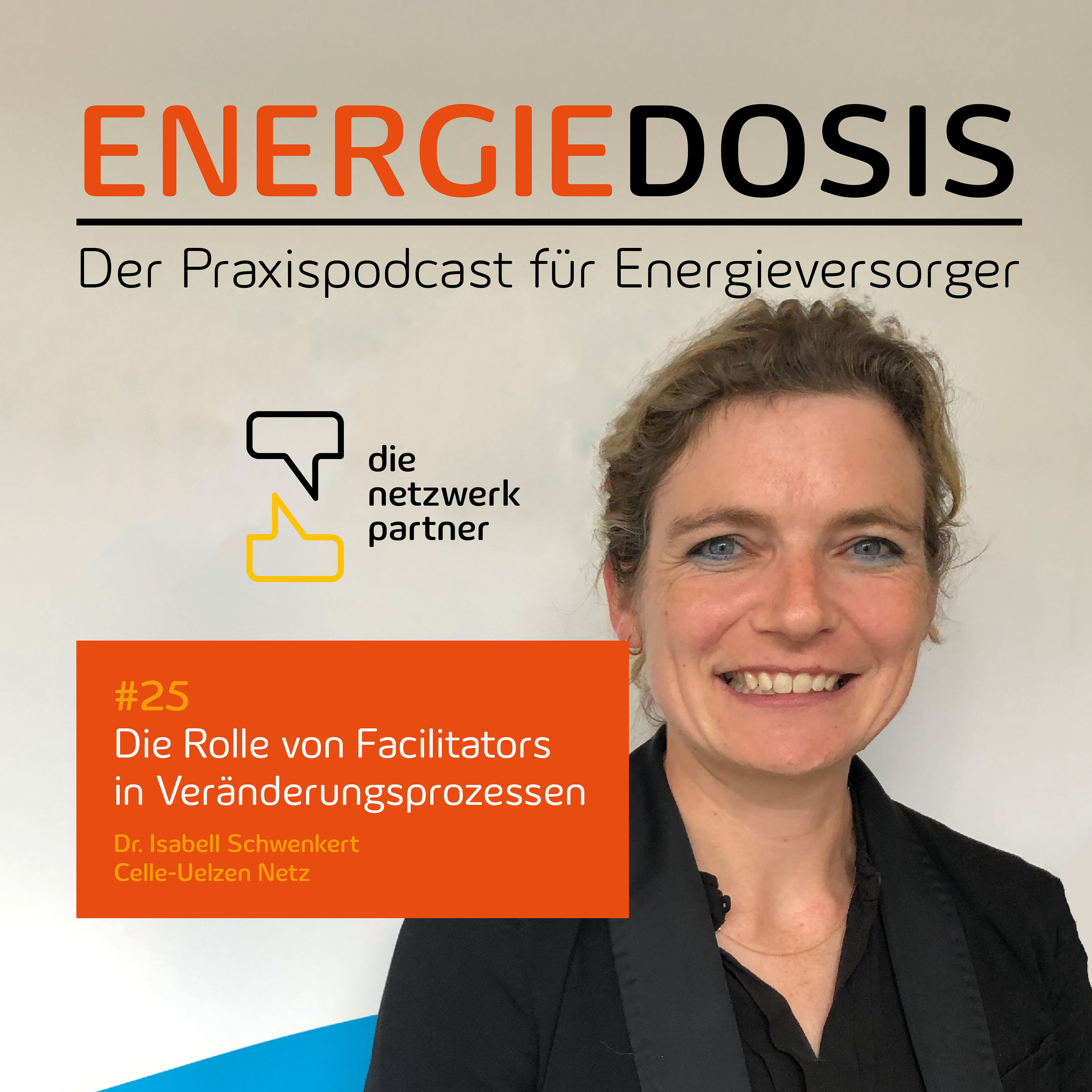 25: Die Rolle von Facilitators in Veränderungsprozessen – Dr. Isabell Schwenkert, Celle-Uelzen Netz