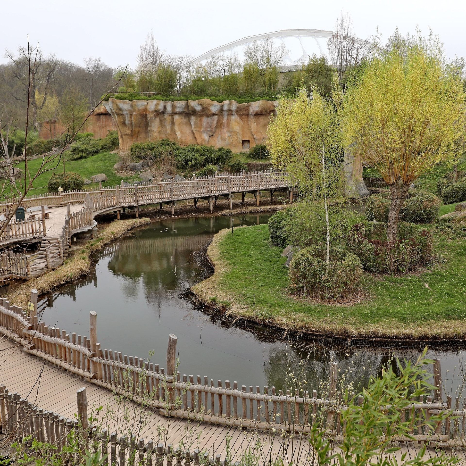 25 Jahre Pongoland: Was Menschenaffen über uns verraten
