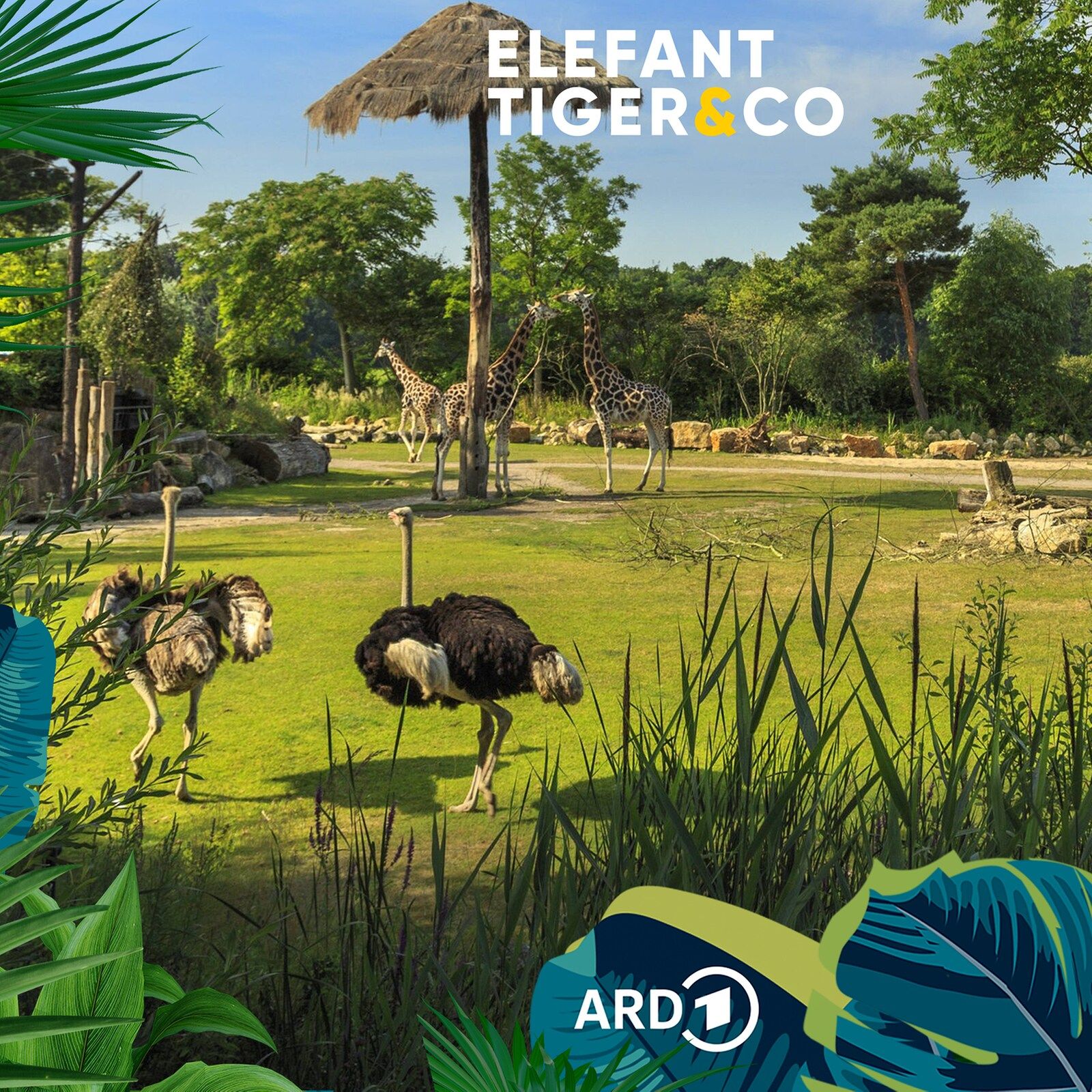 25 Jahre Zoo der Zukunft