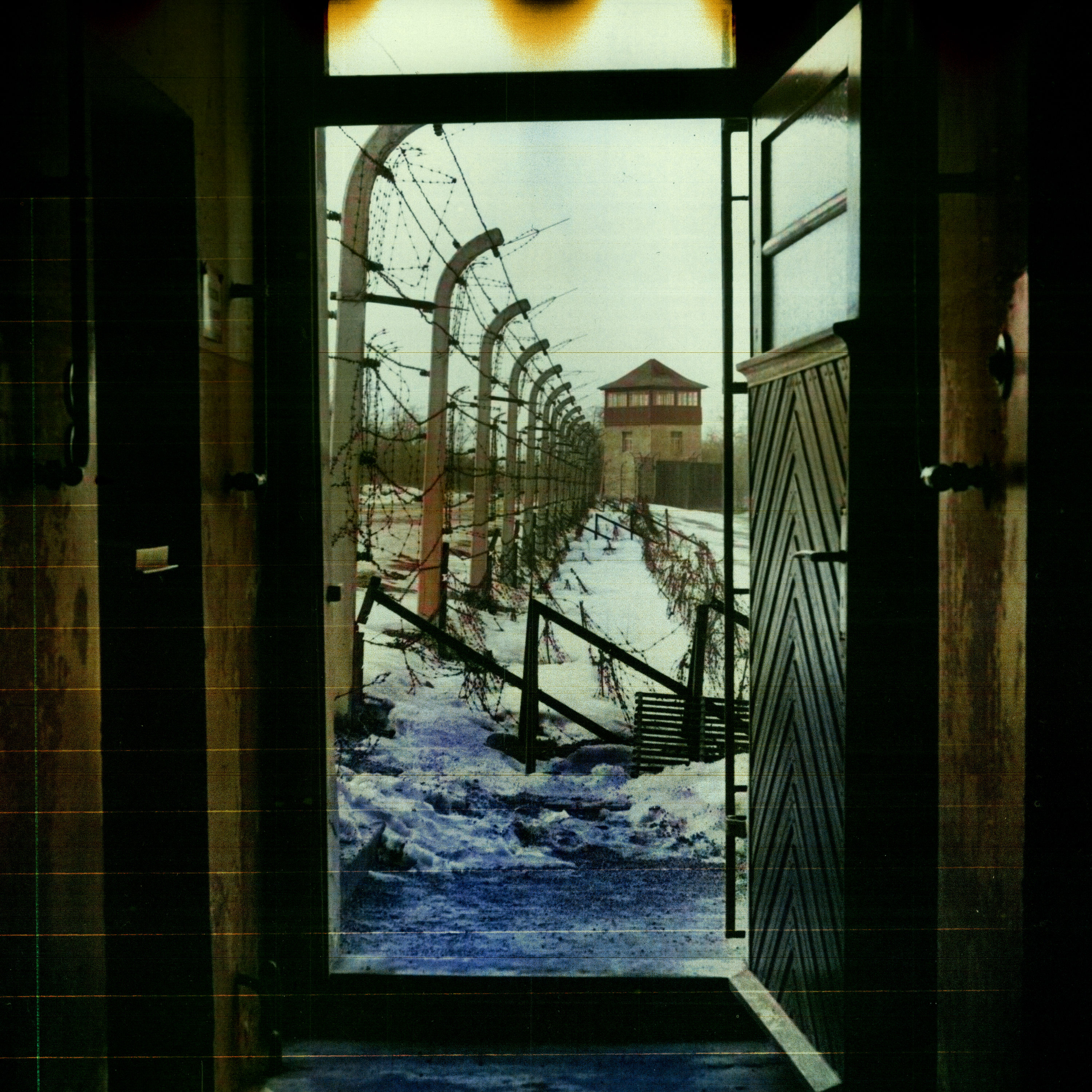 25 Stockhiebe (25/41) | Unter dem Gras darüber