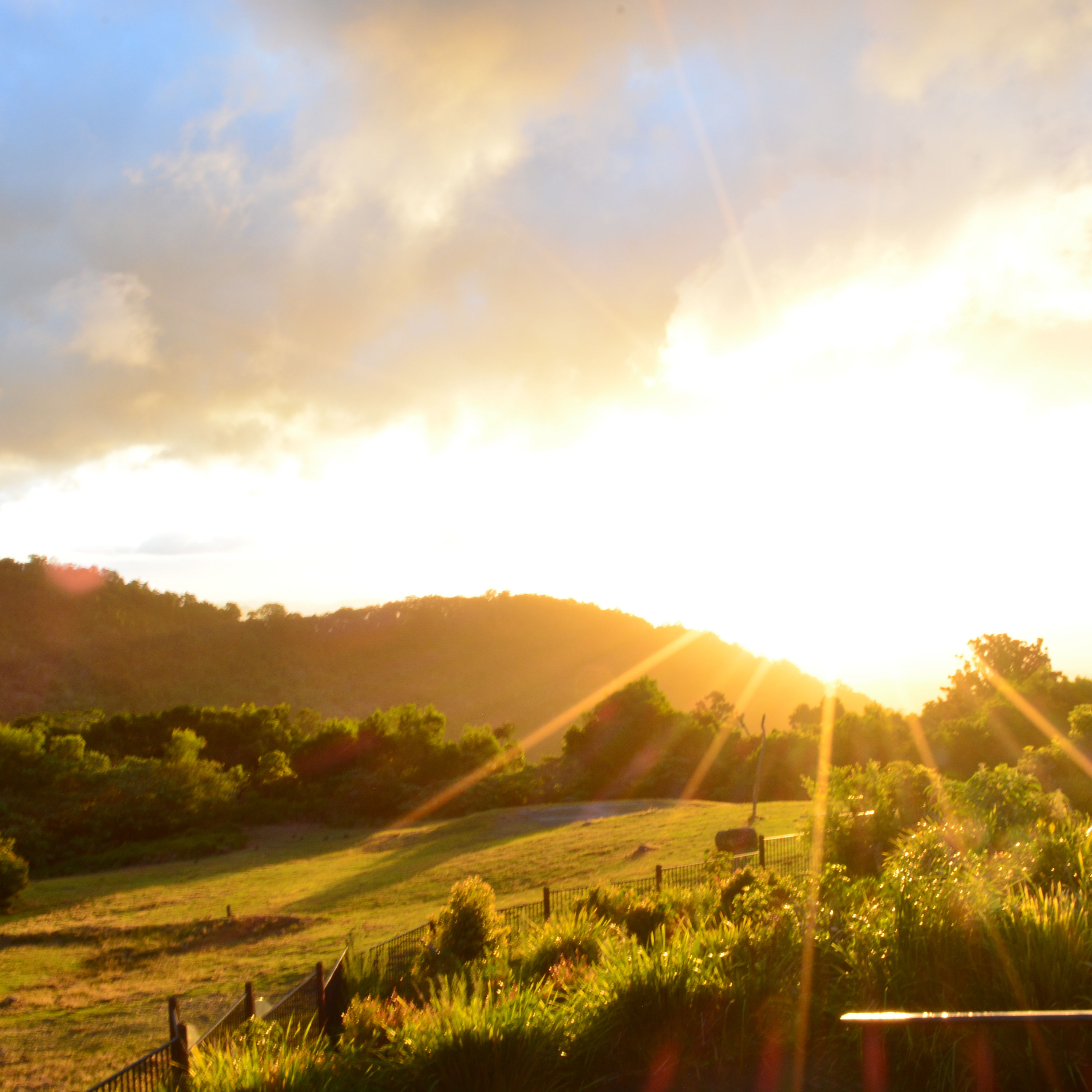 #25 Von Wellen getragen, von Stille umarmt – eine Fahrt zum Lammington Nationalpark
