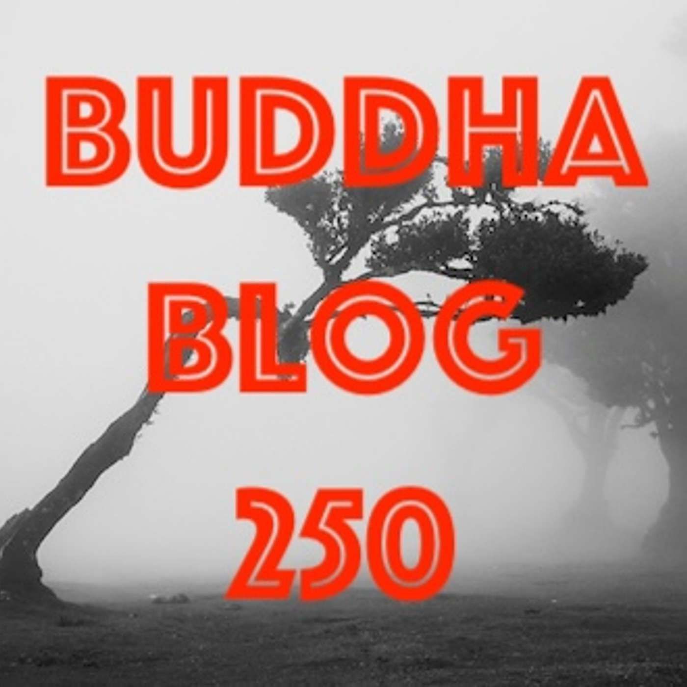 250-Buddha Blog